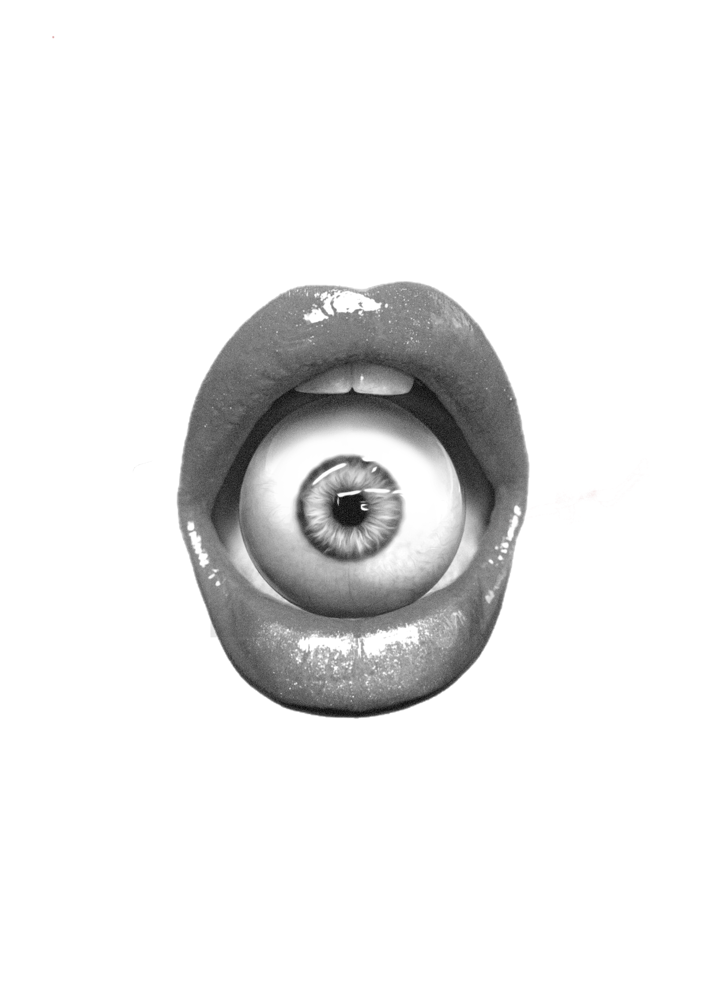 IMG_0303.png