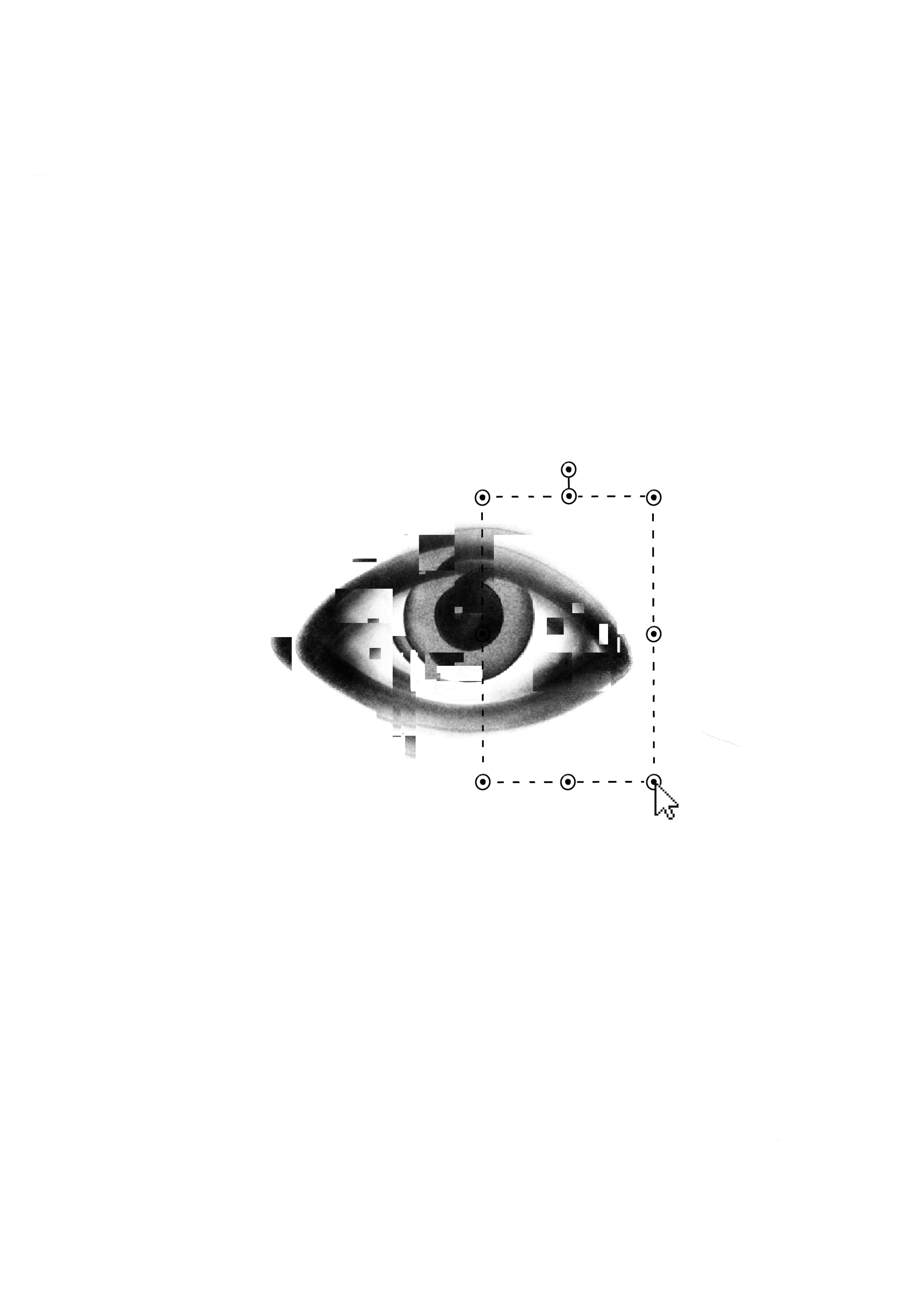 IMG_0304.png