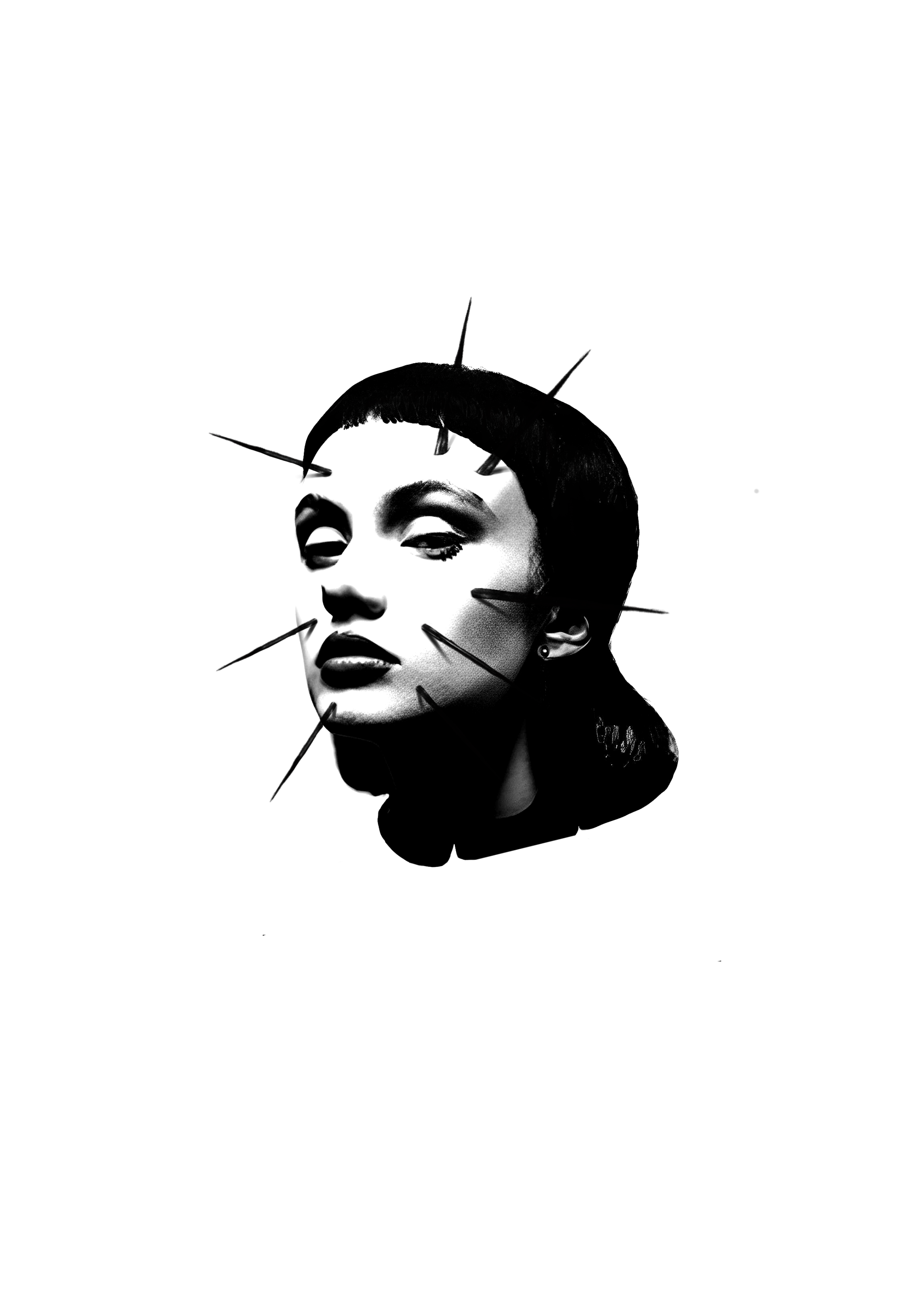 IMG_0307.png