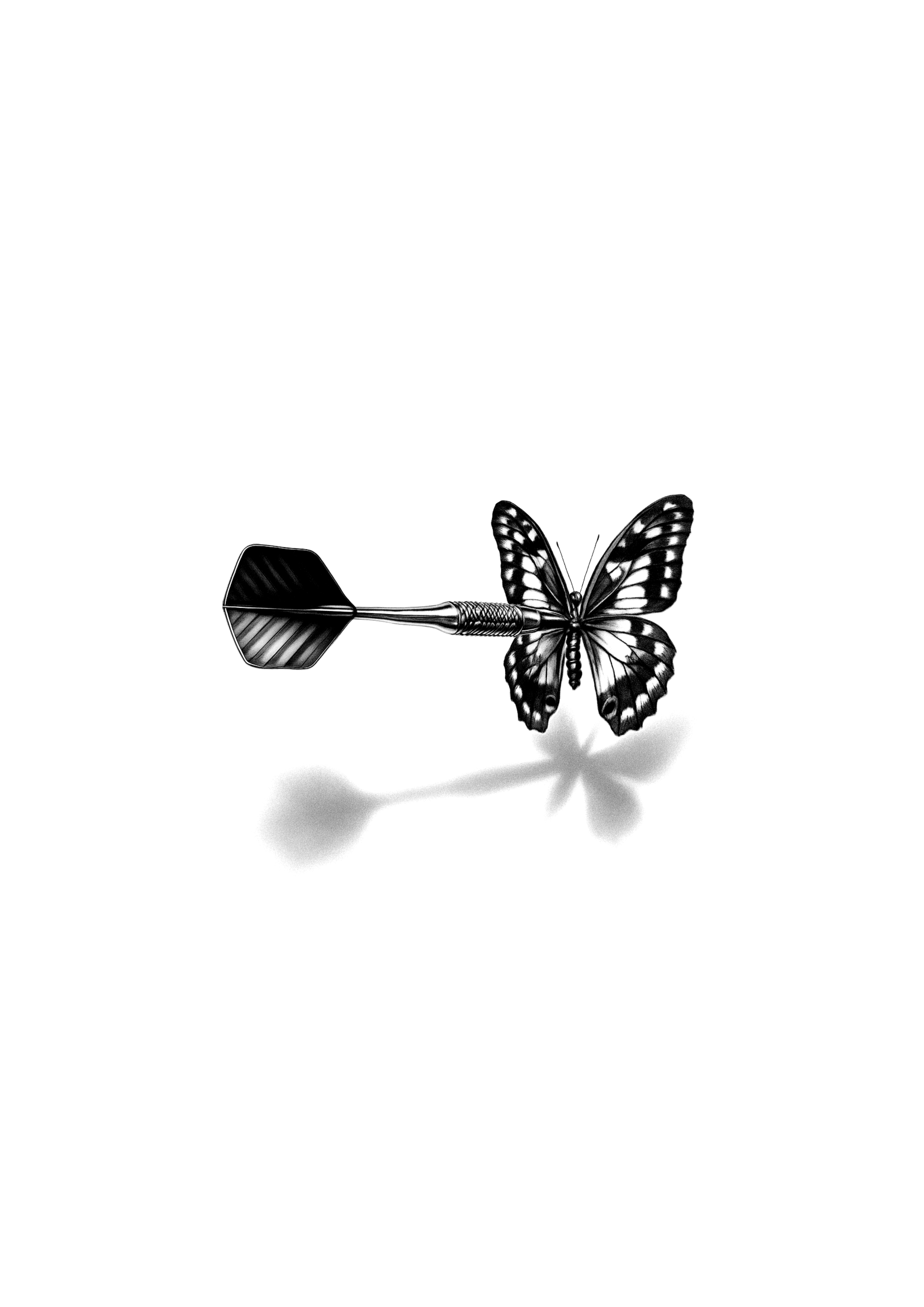 IMG_0308.png