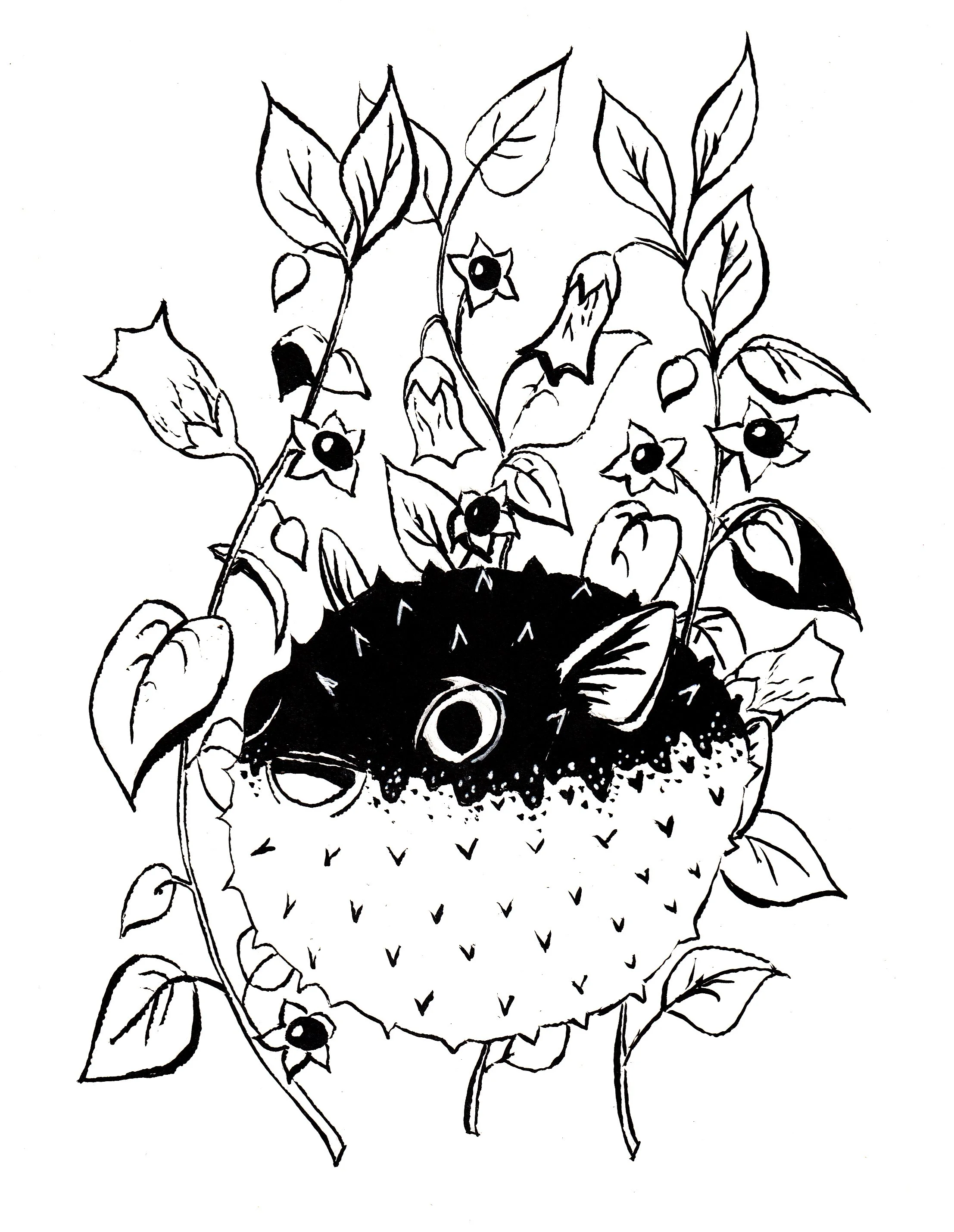 Black and white drawing of a puffer fish, with belladonna stalks in the background.