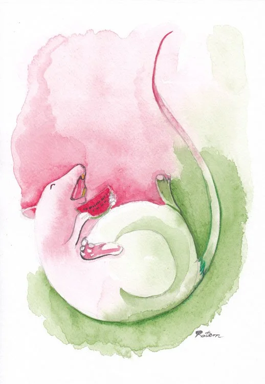 A watercolor illustration of a rat eating a tiny watermelon slice in pink and green colours.