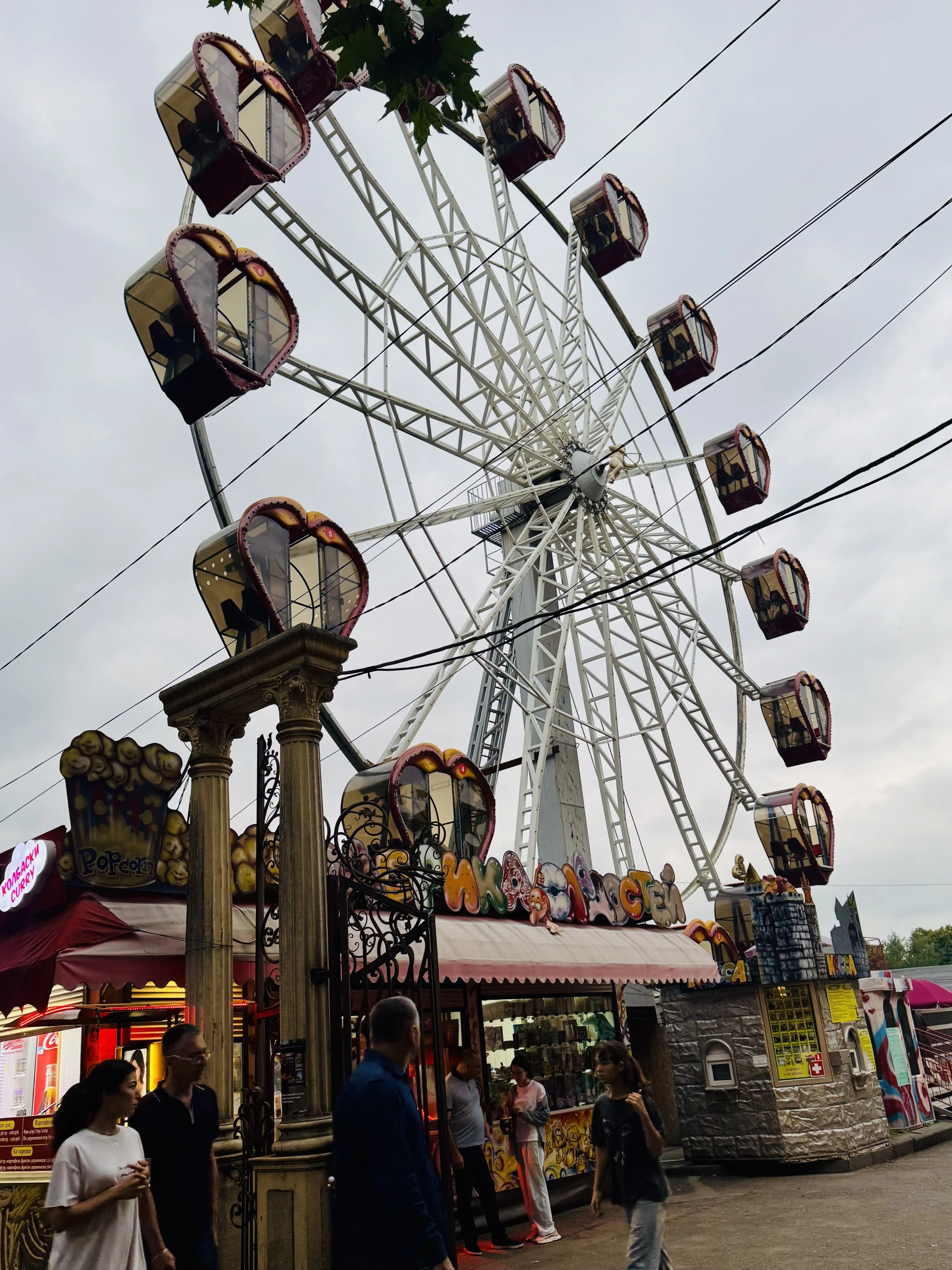 IMG_7178.jpeg