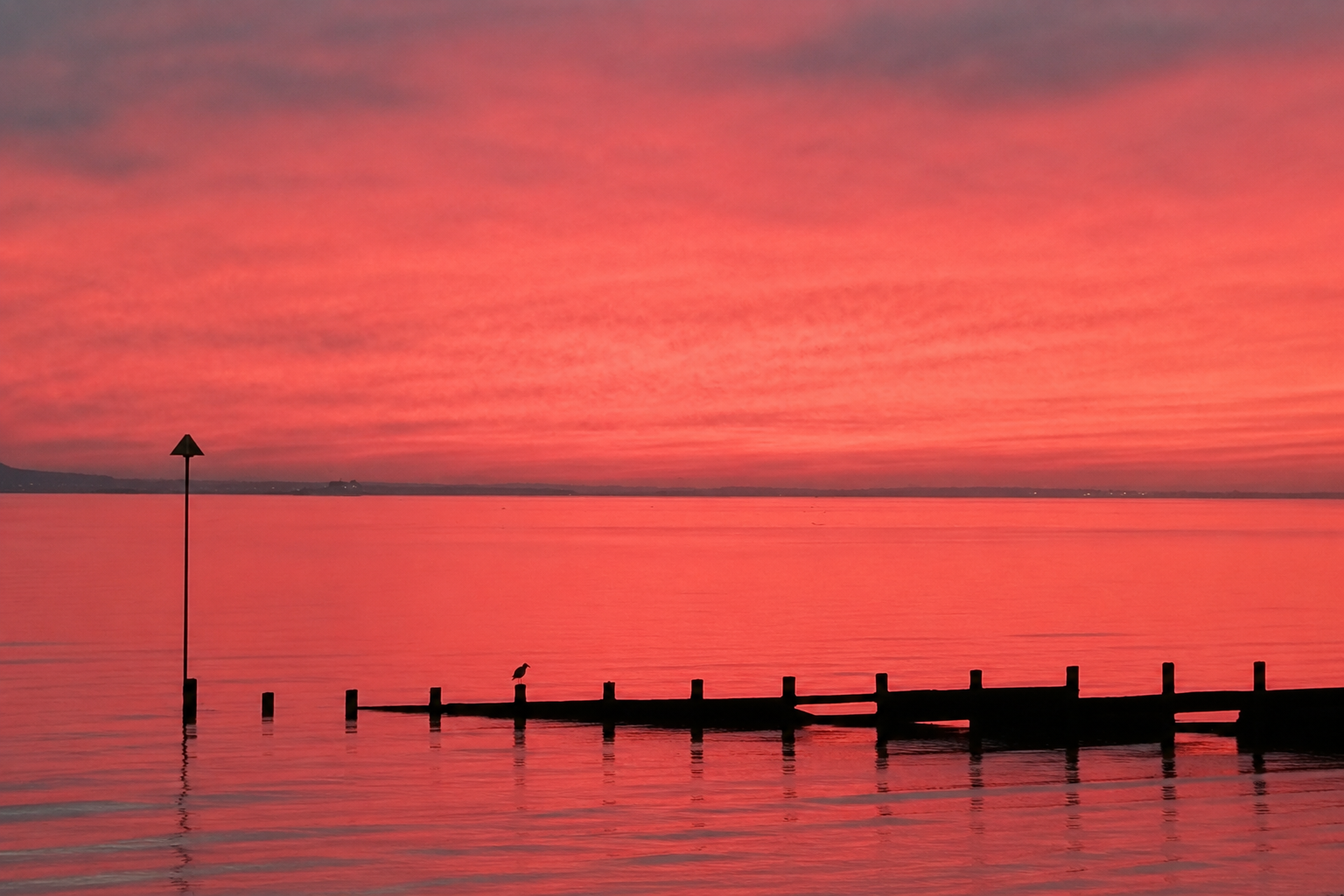 A vibrant sunset casting rich pink and crimson reflections across calm water, with a quiet shoreline stretching towards the horizon.