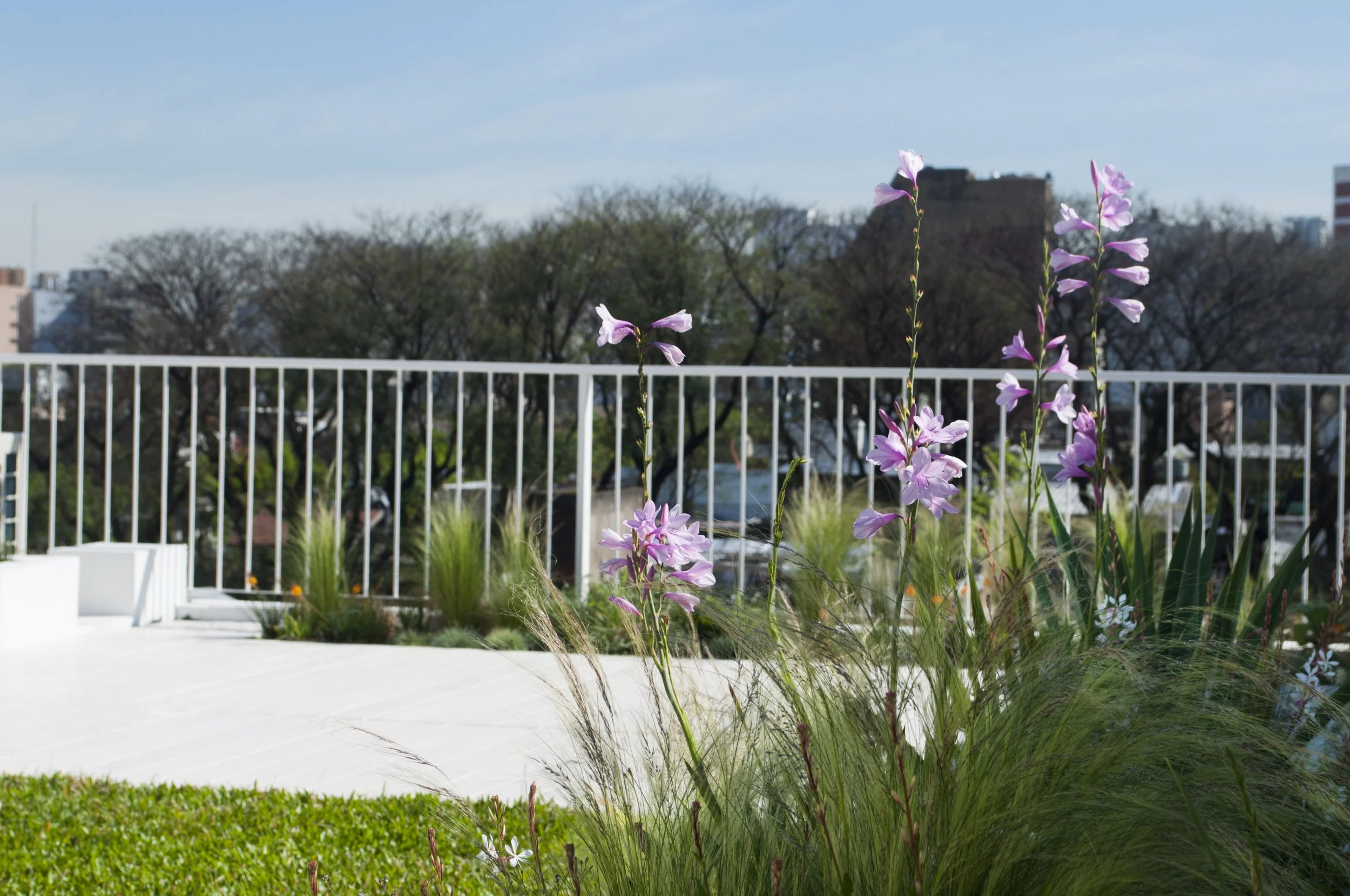 Terraza Urbana en Palermo