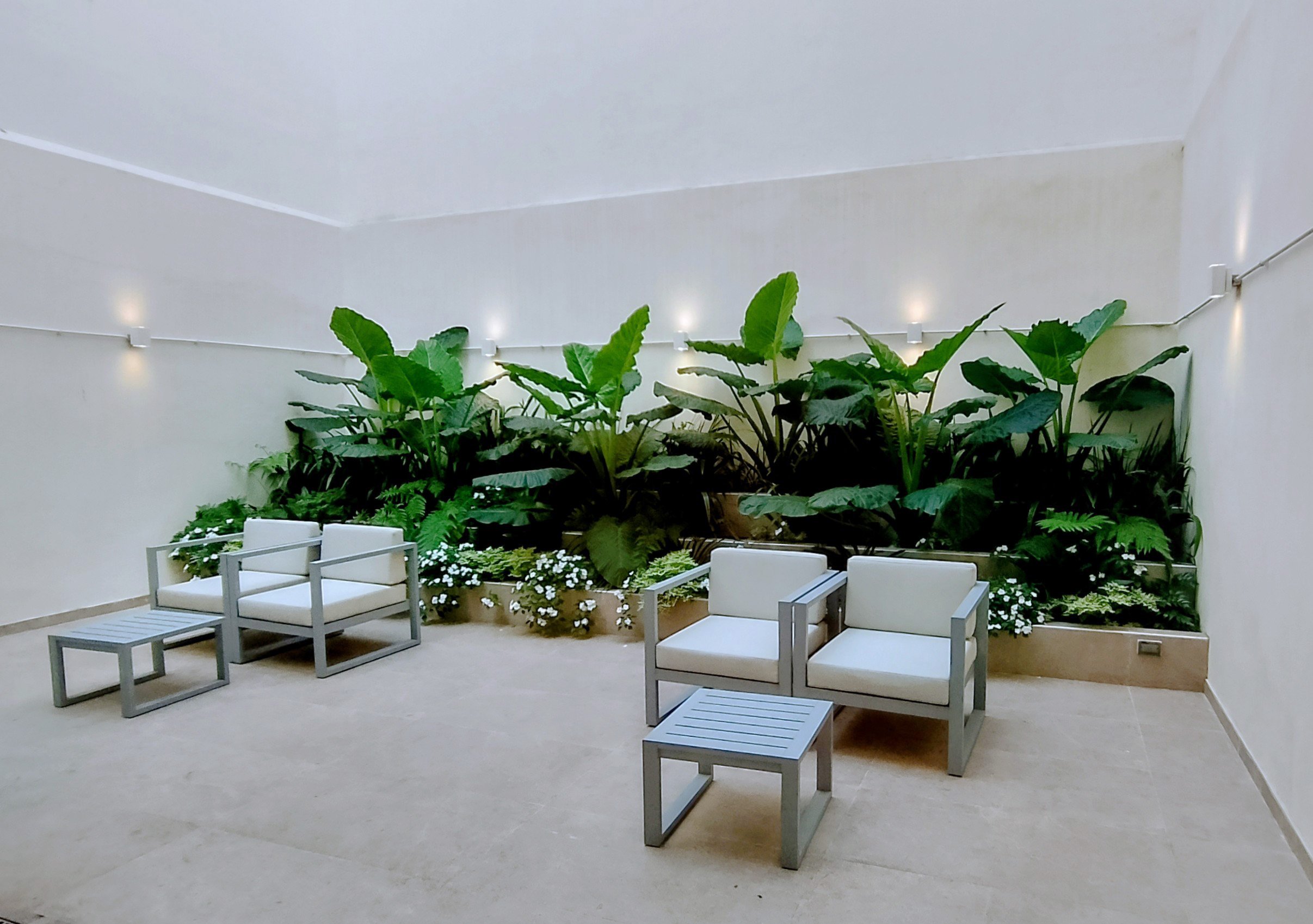 Microclimas Opuestos: Patio y Terraza