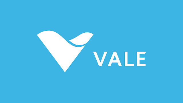 Blue background with a white checkmark symbol and the word "VALE" beside it.