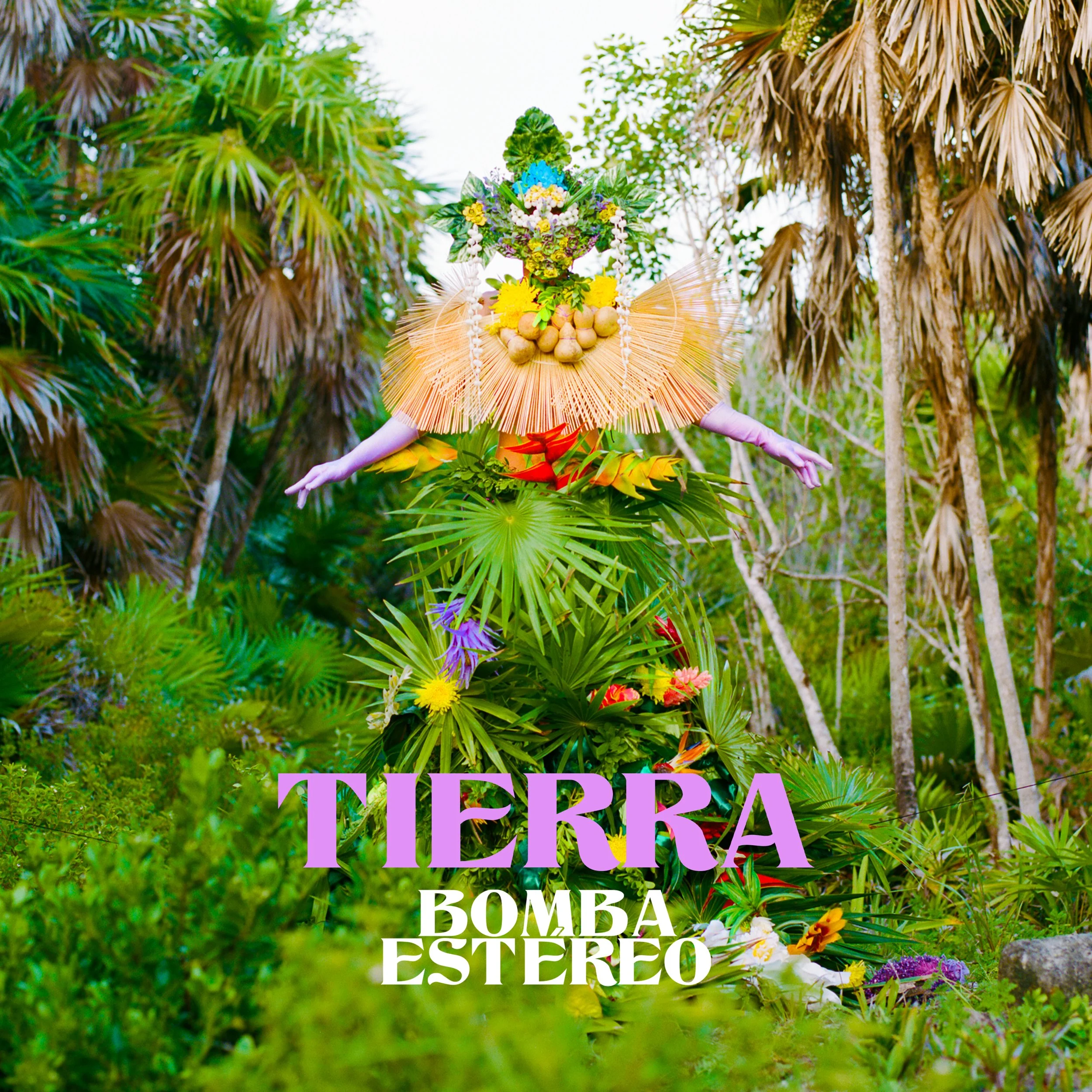 Tierra-2-1.jpg