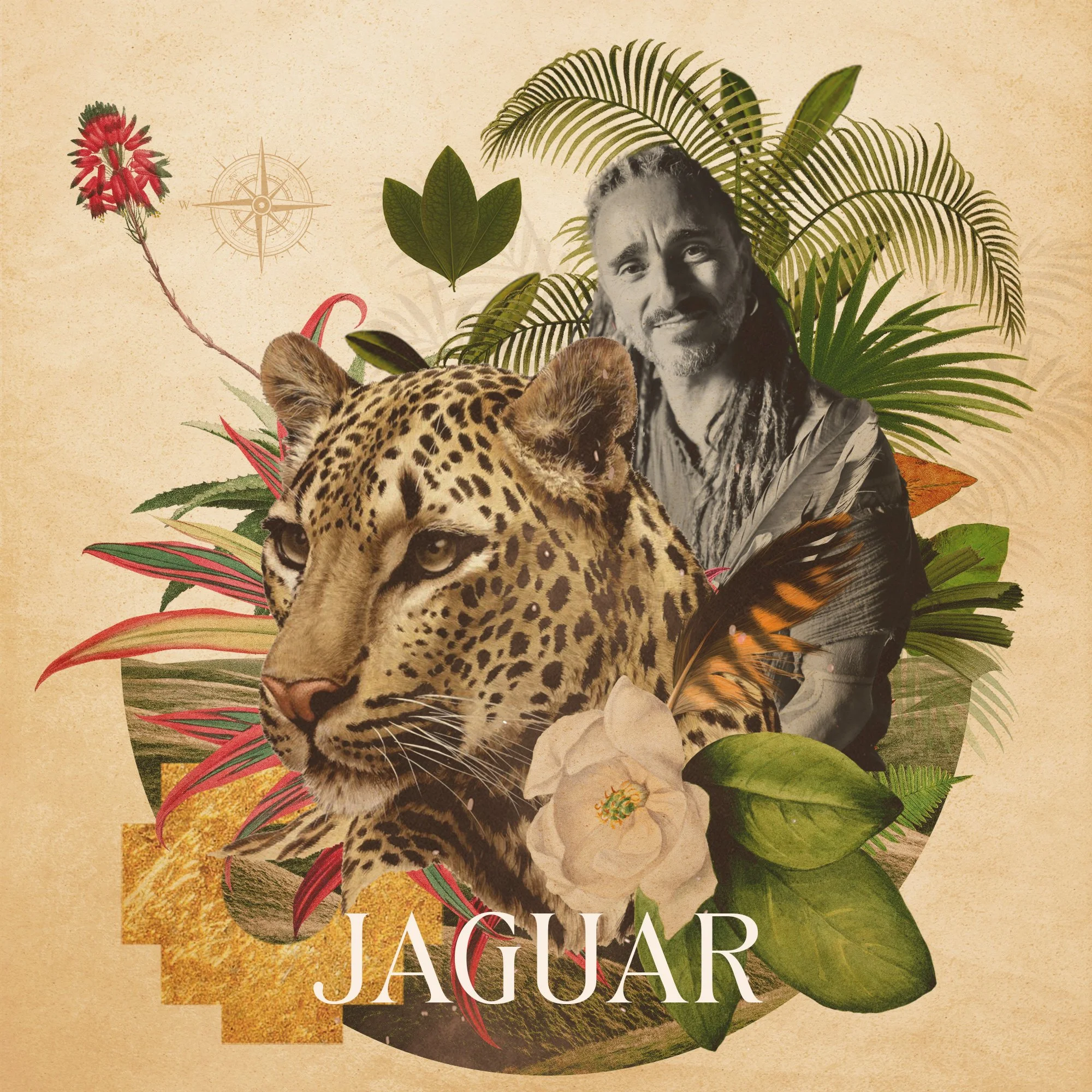 Jaguar.jpg