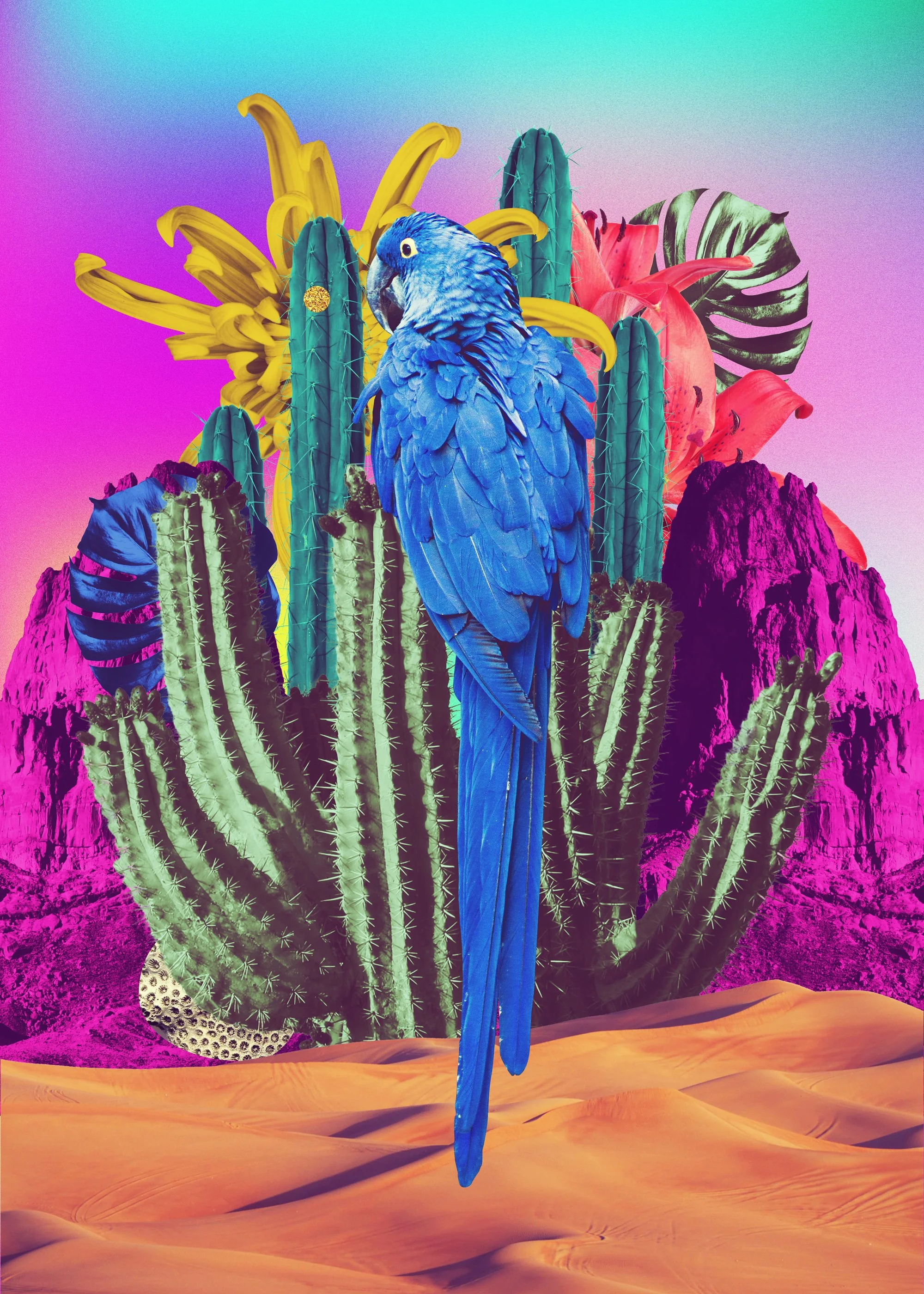 trippi-desert_2000.jpg
