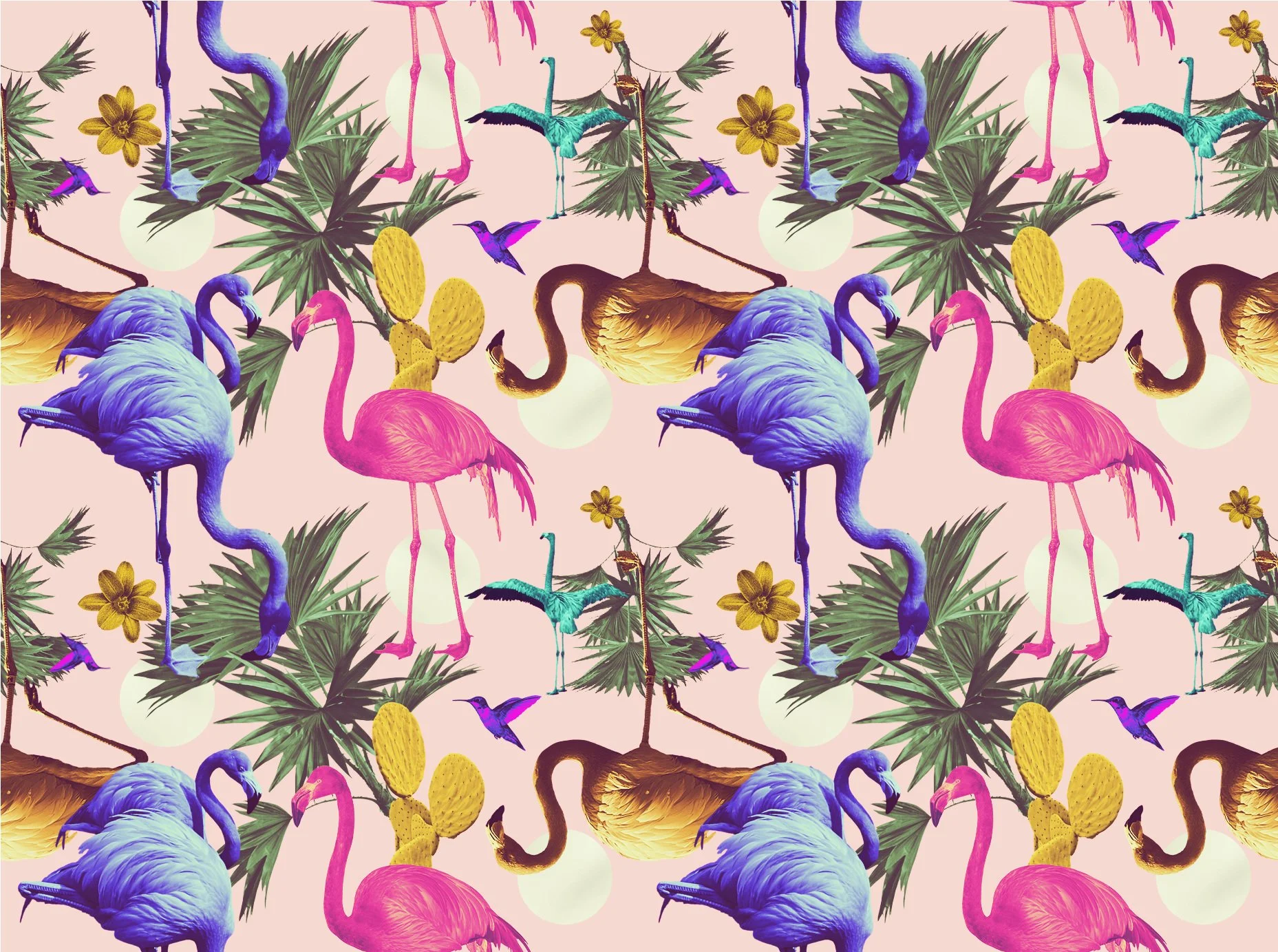 pinkframingo-pattern-final_1857.jpg
