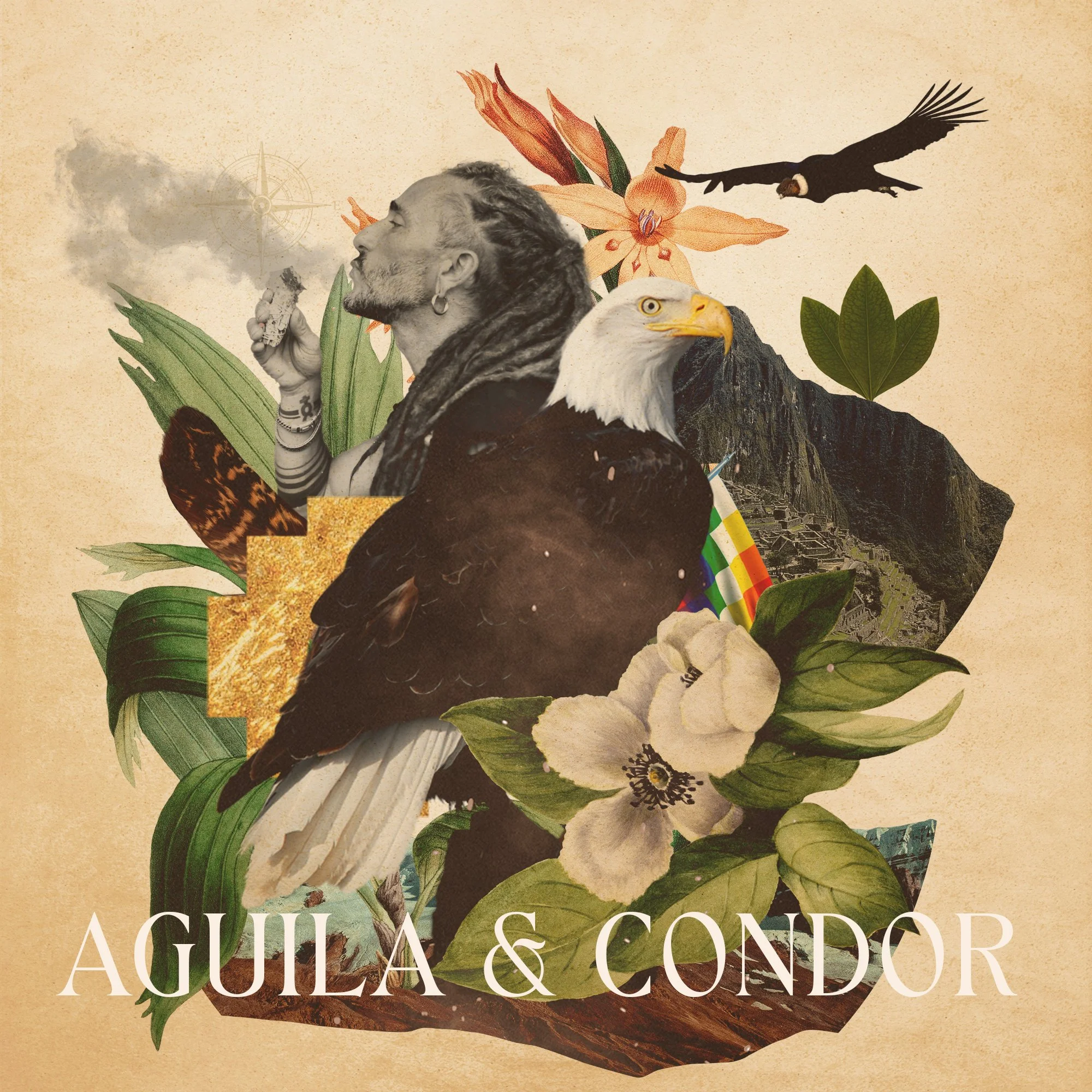 Aguila-y-condor.jpg
