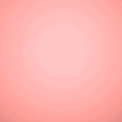 tumblr_na2ujbZOcC1rn674fo4_r1_400_o.gif