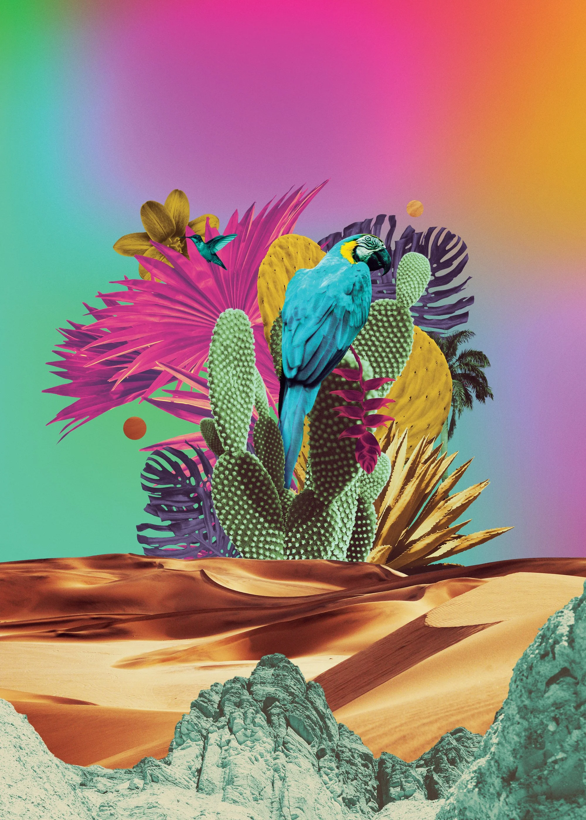 cactus-final2_2000.jpg