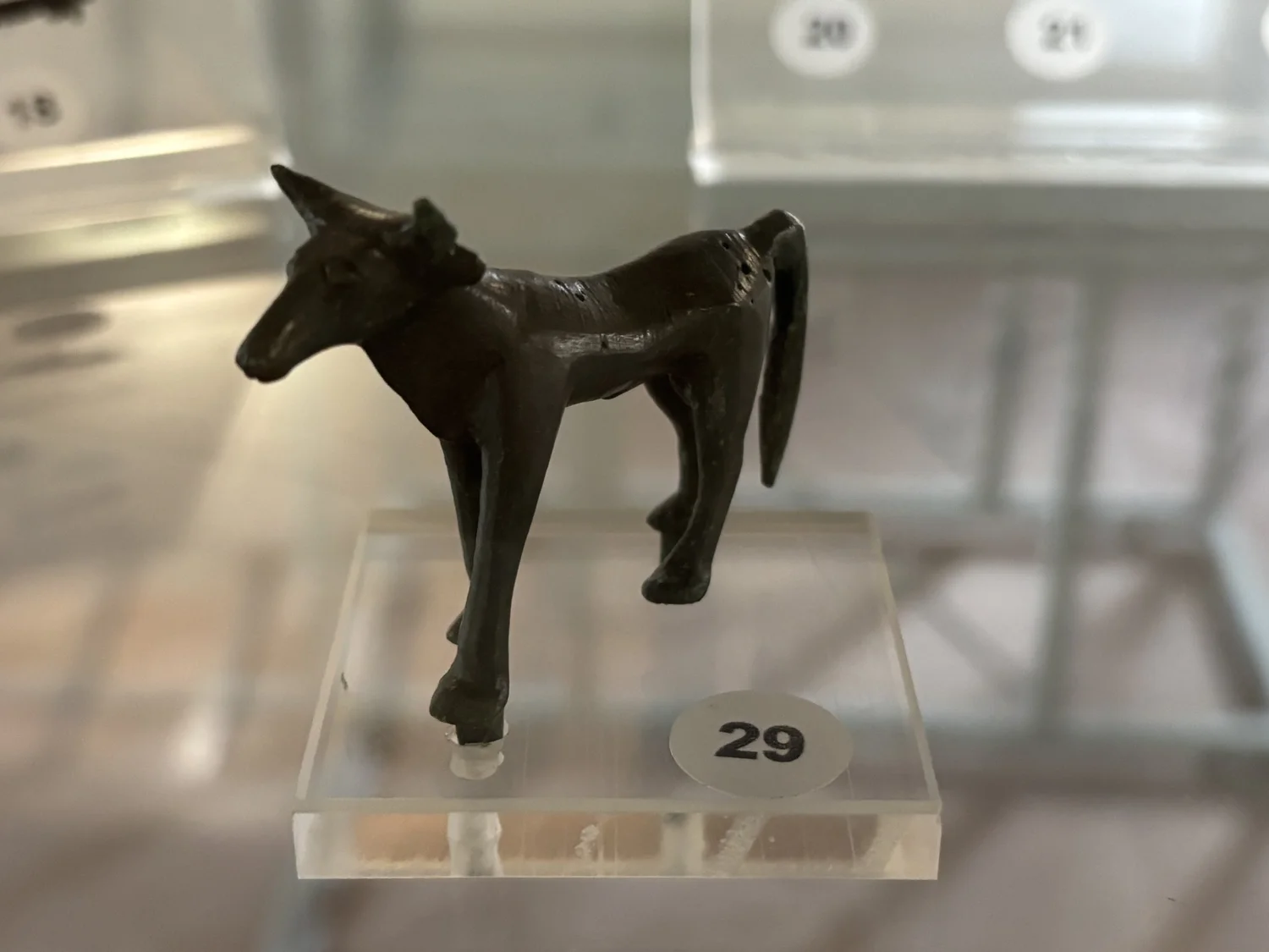 Collezioni archeologiche - immagine 1