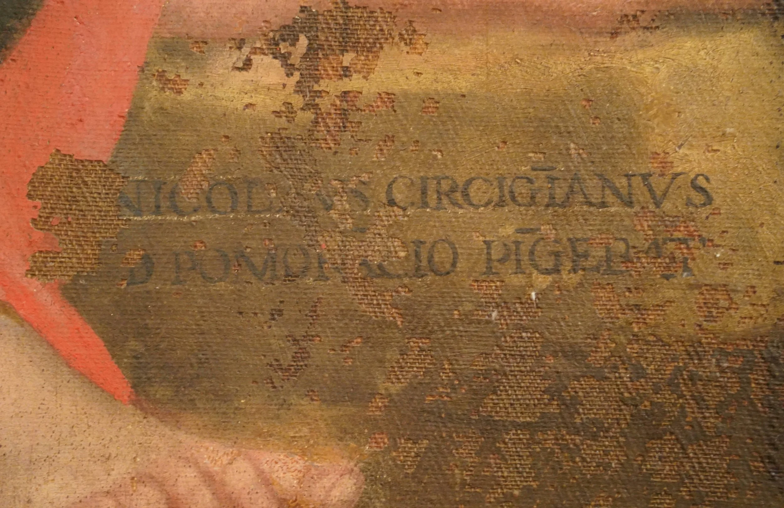 Pomarancio.jpeg
