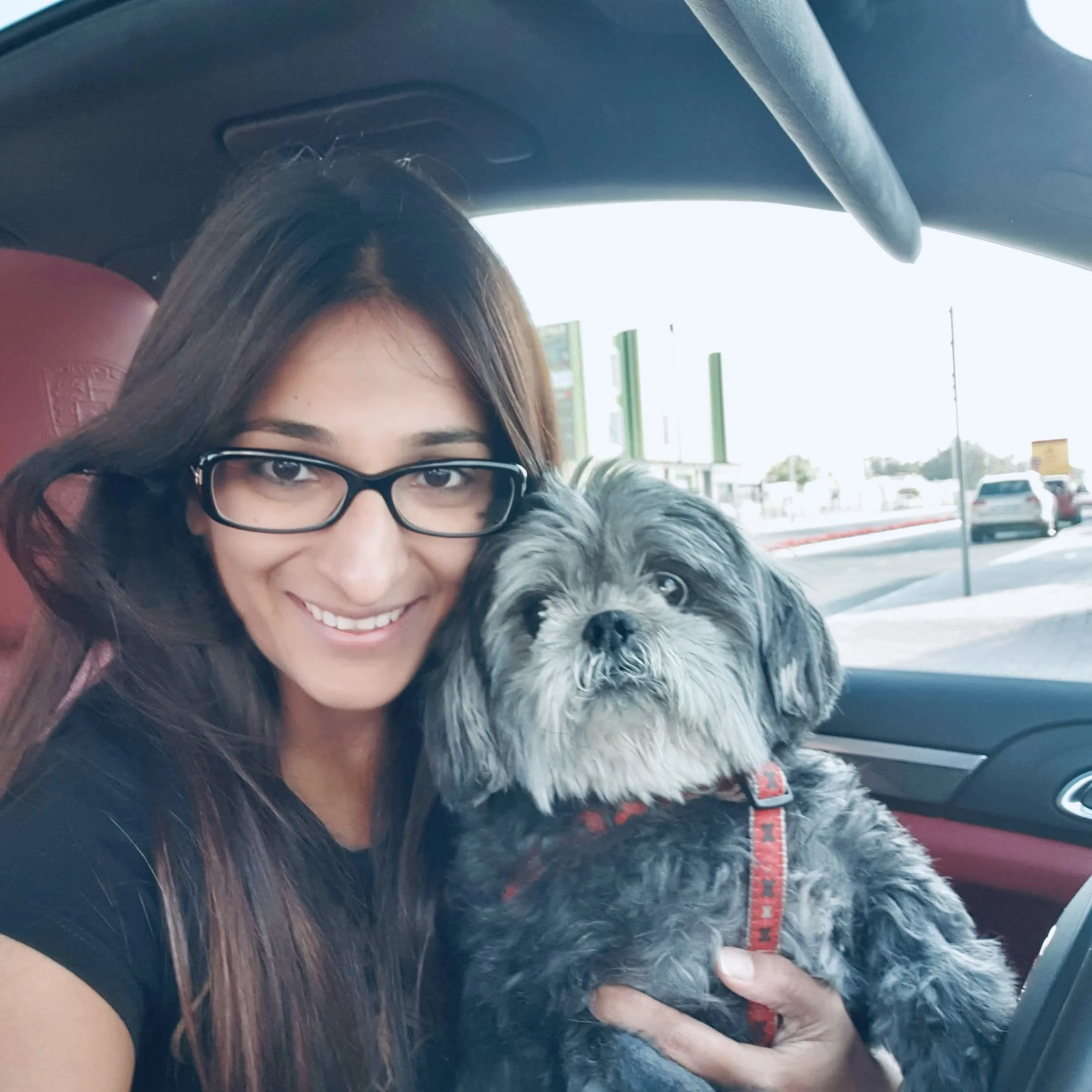 A woman with glasses smiling, holding a small dog with black and white fur, inside a vehicle. The woman has long brown hair and is wearing a black shirt. The background shows a busy street scene with cars and buildings.
