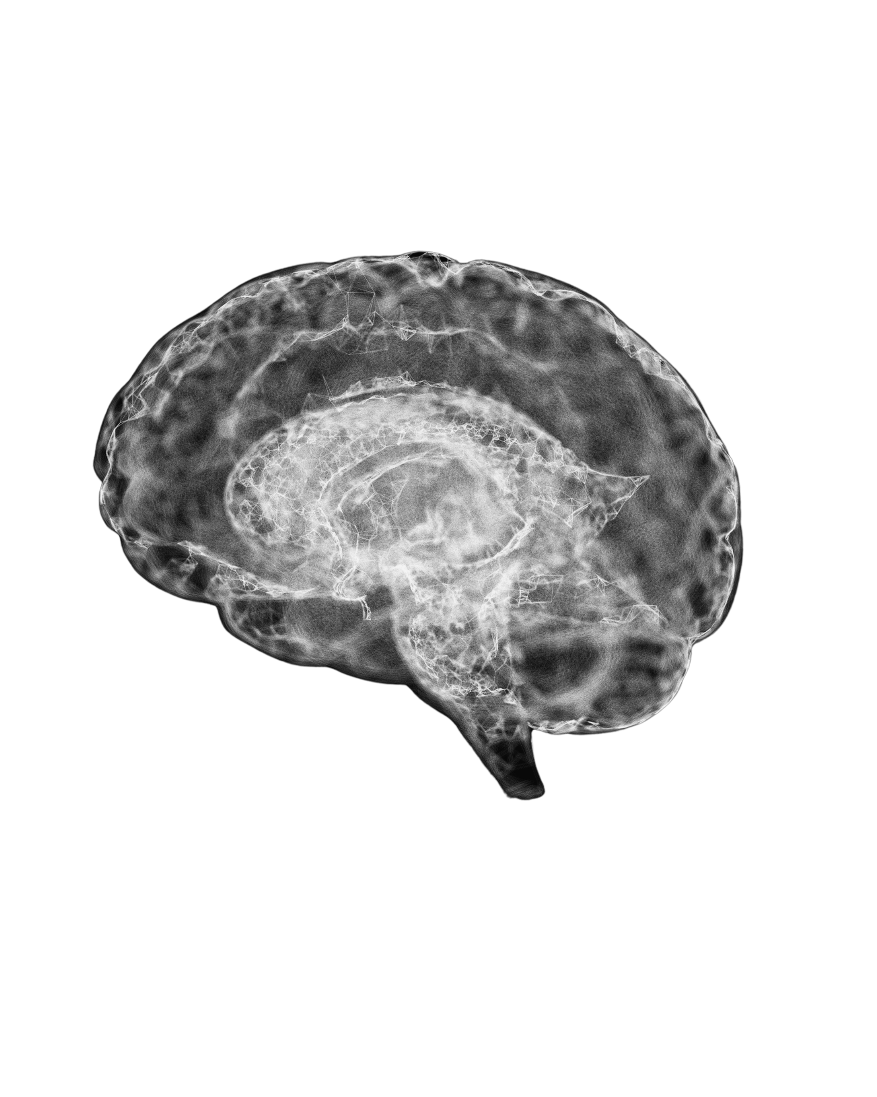 A 3D rendering of a human brain in grayscale against a black background.