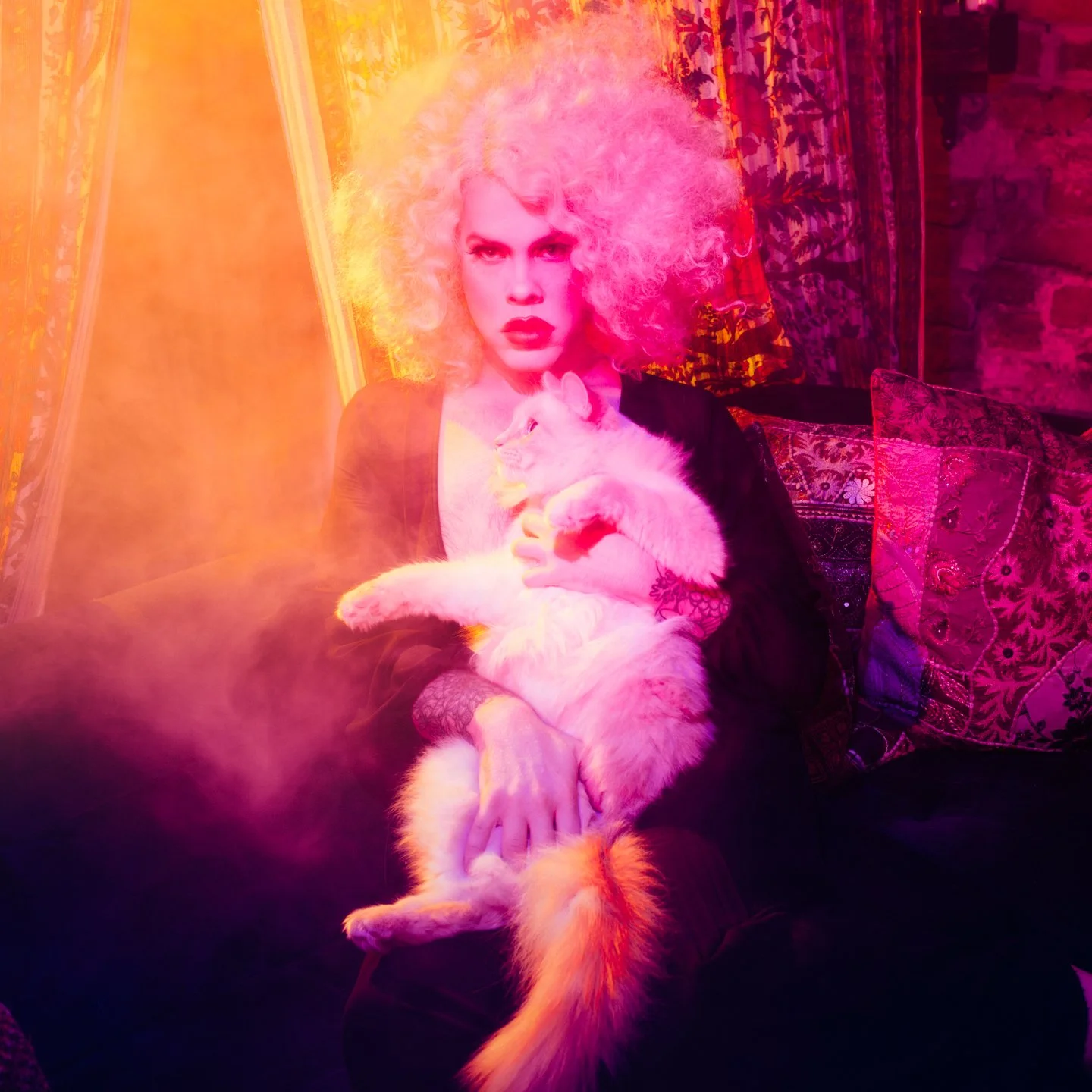 Woman with curly blonde hair sitting on a couch with colorful patterned pillows, holding a fluffy white cat with orange markings, with vibrant, multicolored lighting