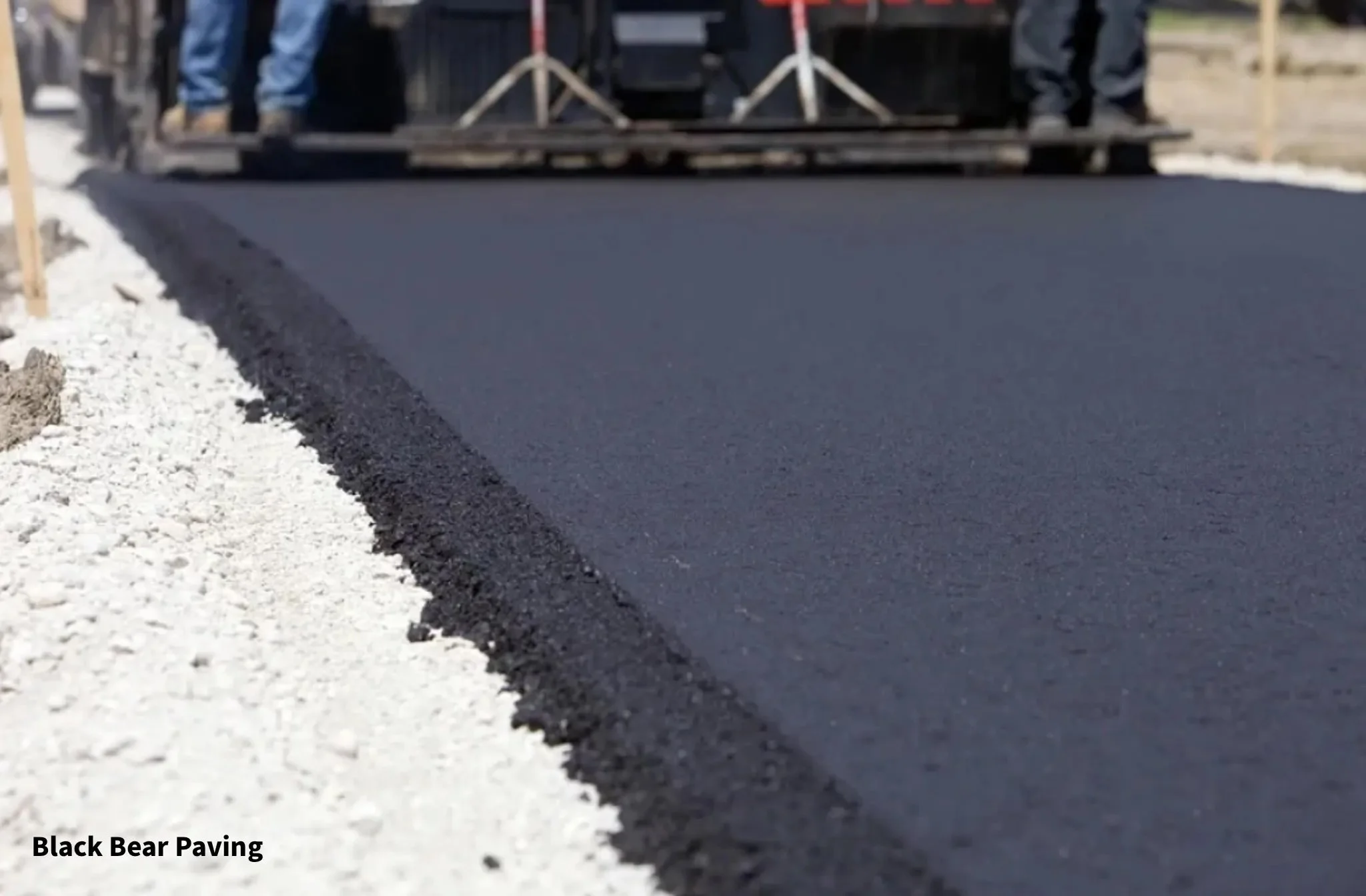 Close-up of fresh black bear paving on a road with white gravel on the side.