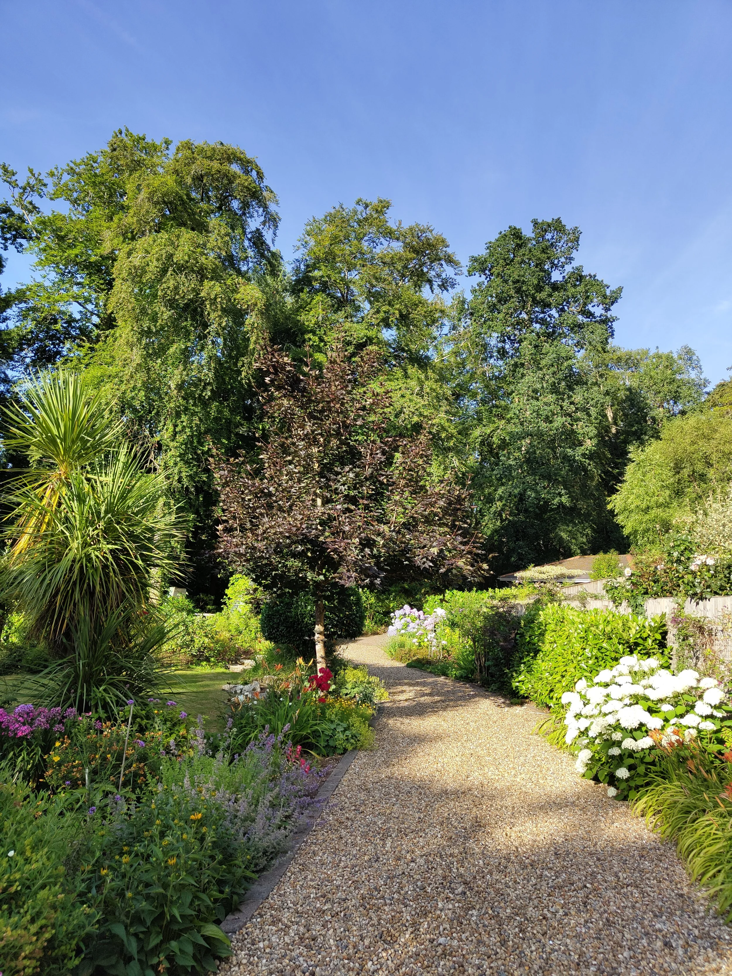 A garden with a gravel pathway surrounded by colorful flowers and lush green trees under a clear blue sky.