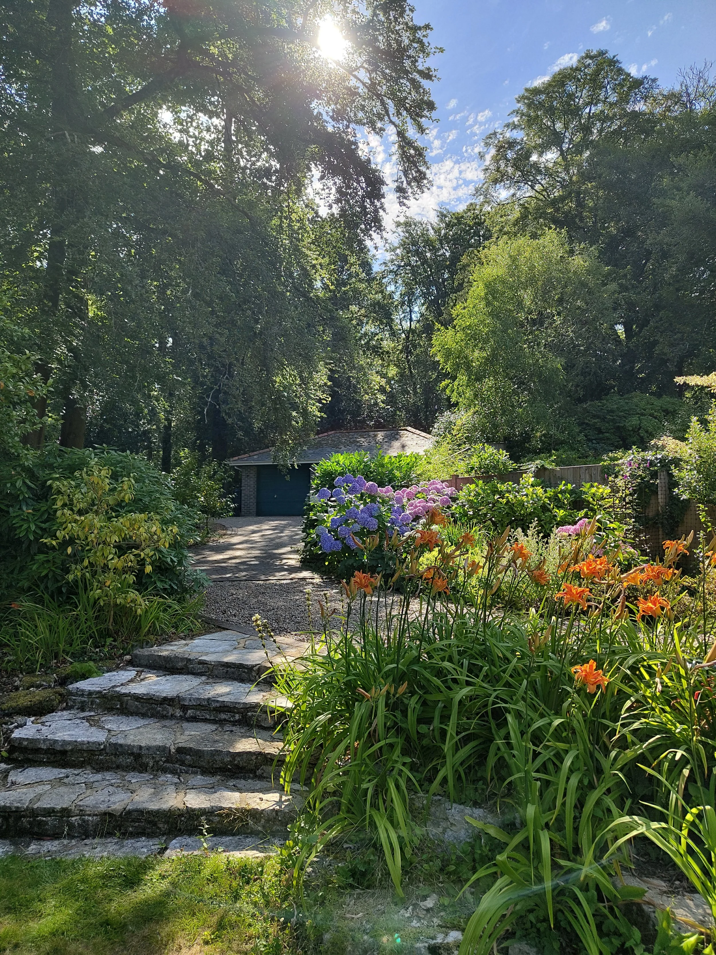 A peaceful garden path with stone steps, surrounded by lush green plants and blooming flowers, leading to a small building with a garage in the background, under a bright sunny sky.