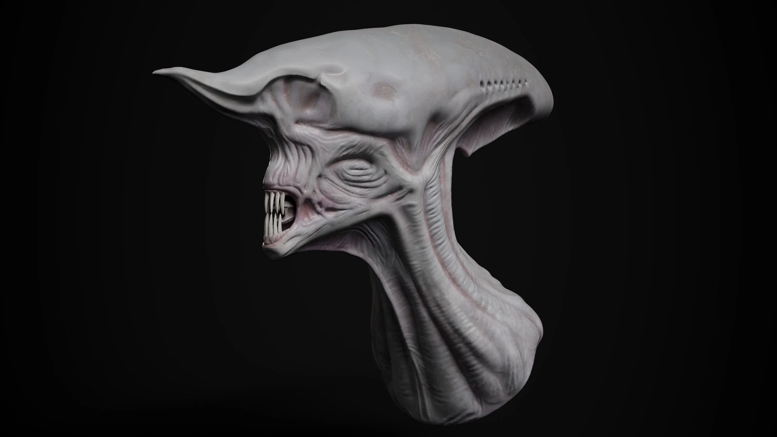 Render_07.jpg