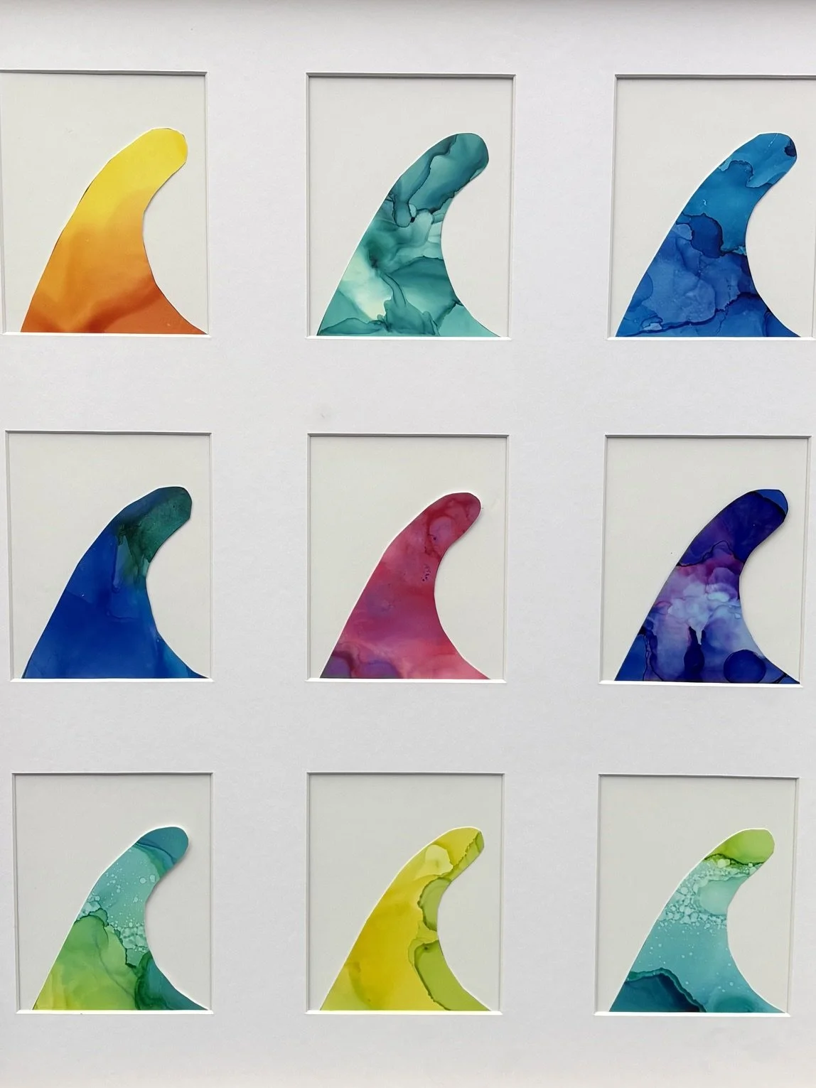 rainbowfins9.jpeg