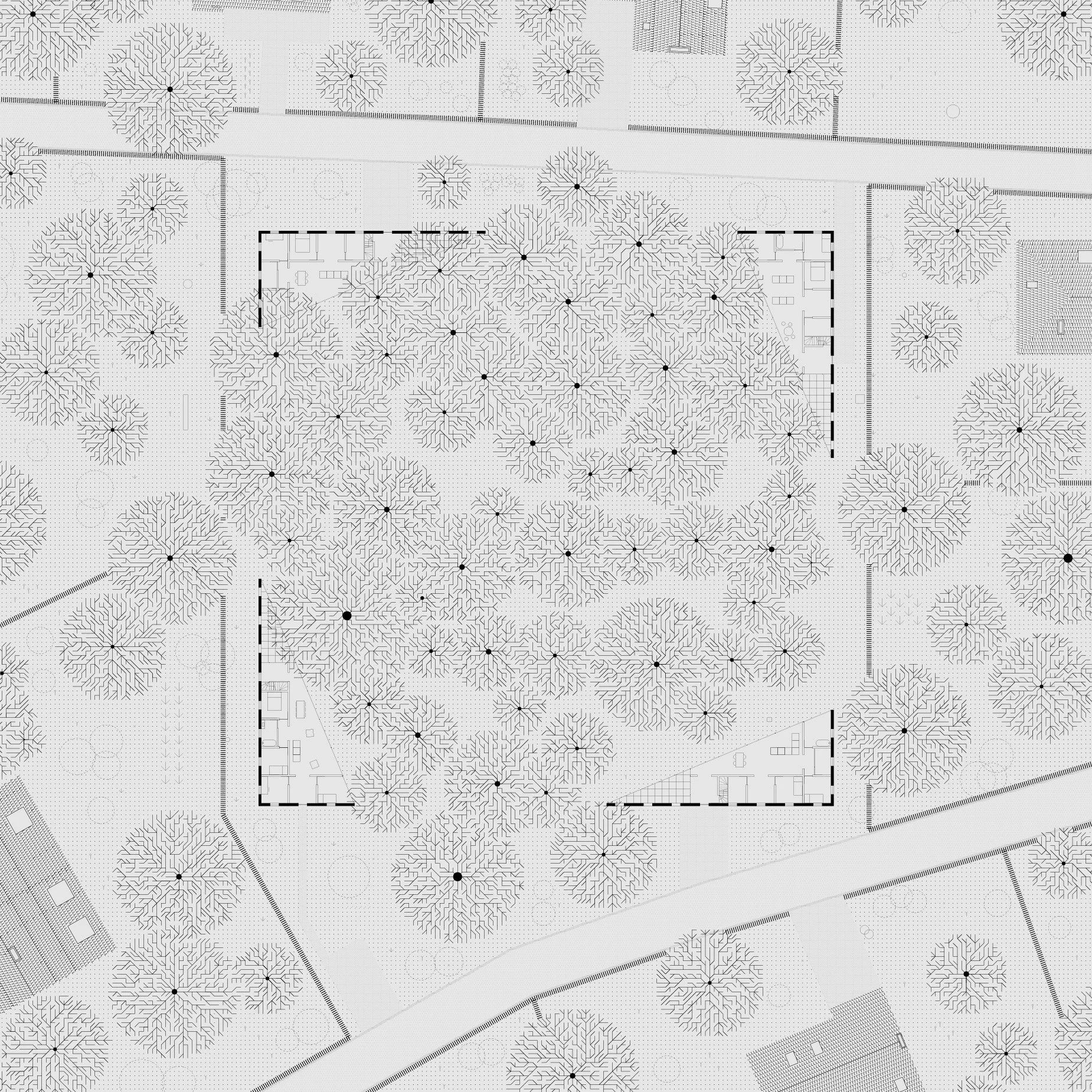 GEN021-ForestPlan-01.jpg