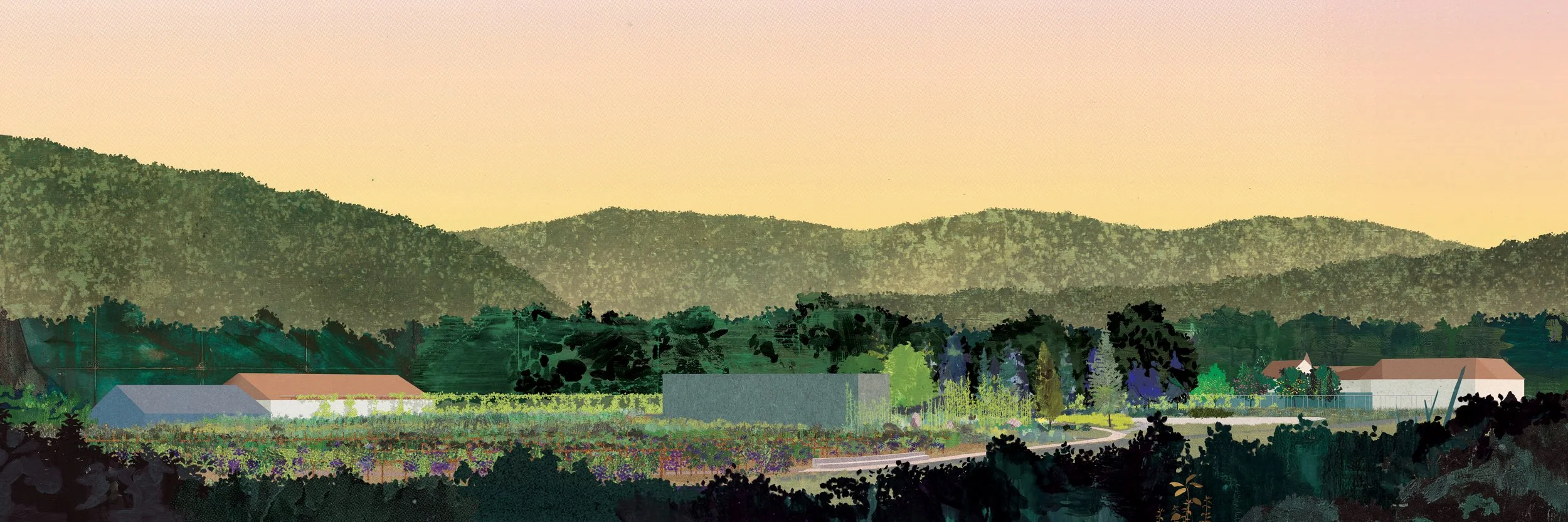 240127_LongCollage.jpg