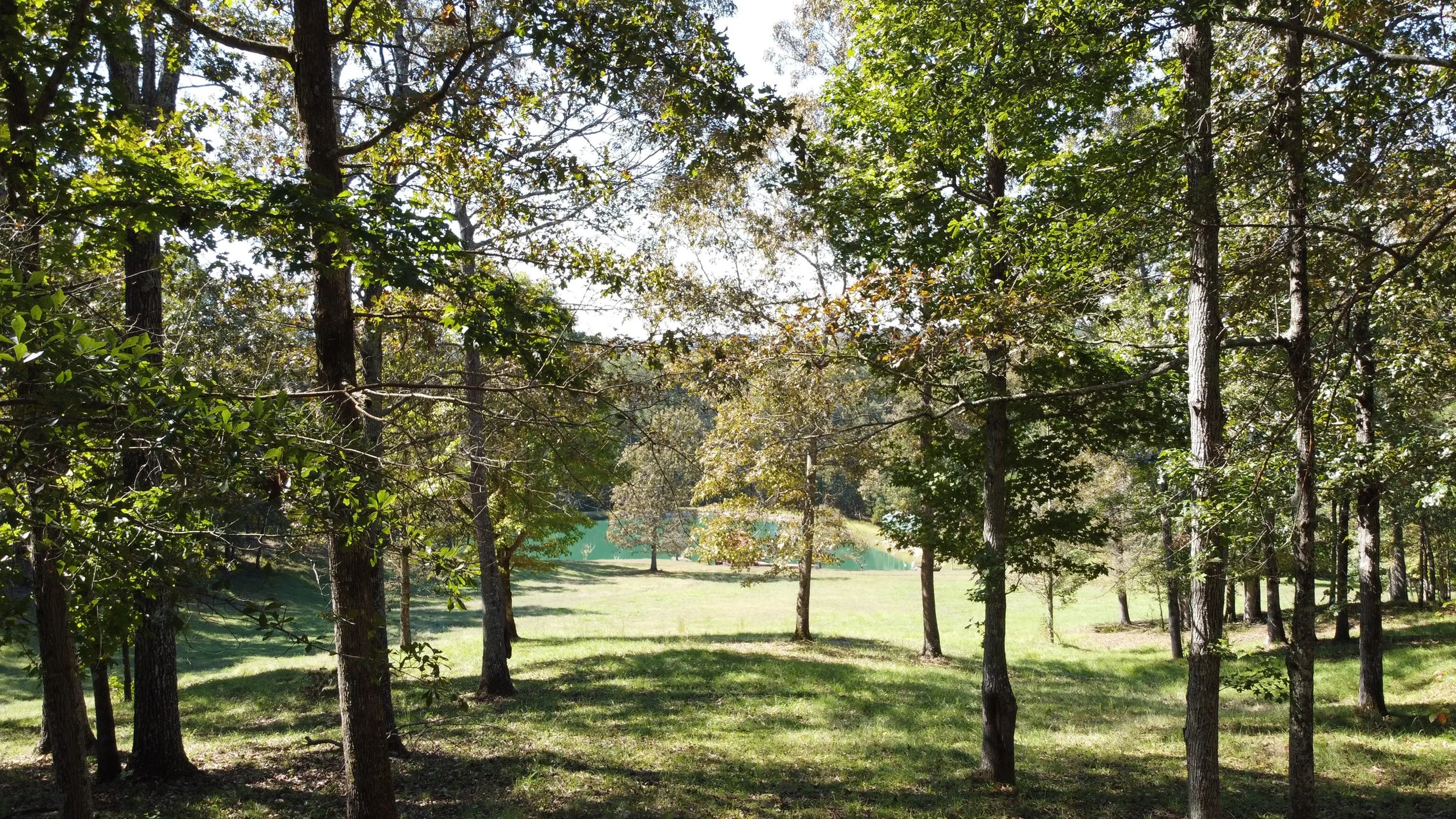 paceroad-retreat-image-01.jpg