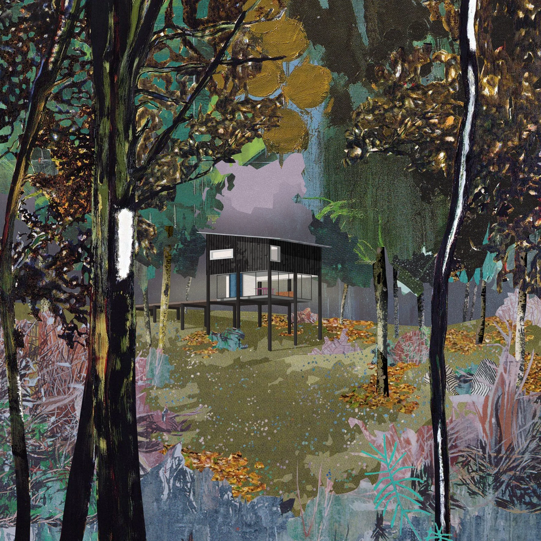 210408_CabinCollage.jpg