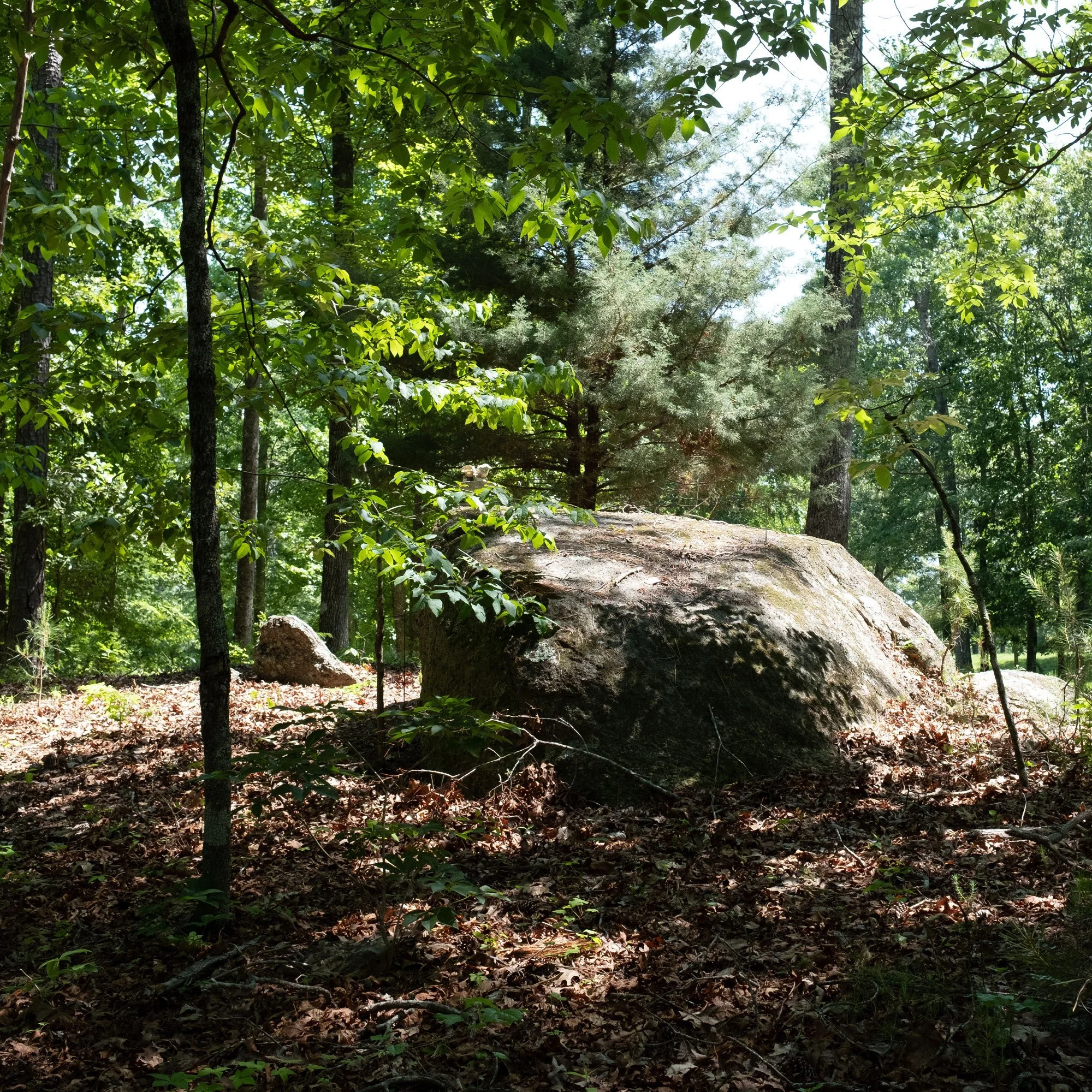 paceroad-cabin-image-04.jpg
