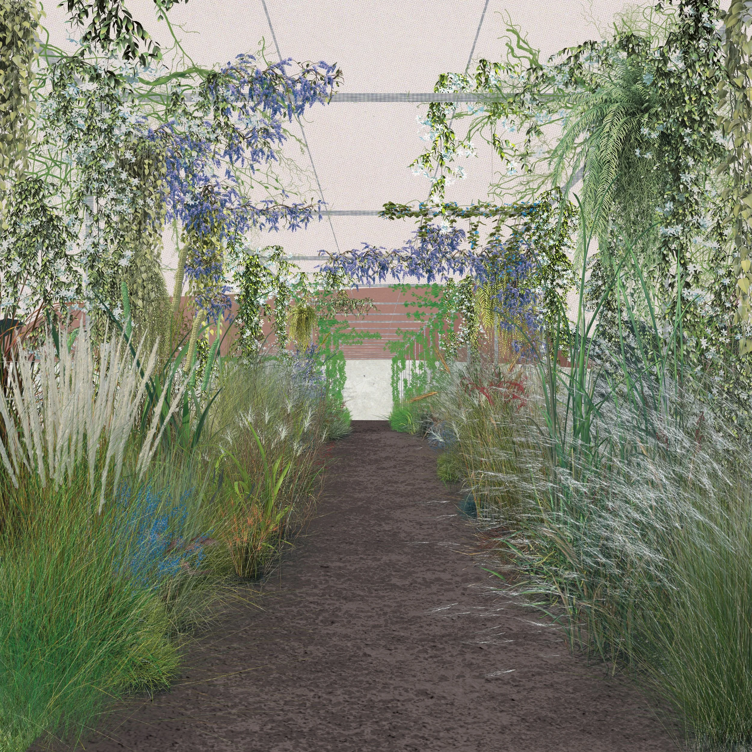 240125_Walkway Collage.jpg