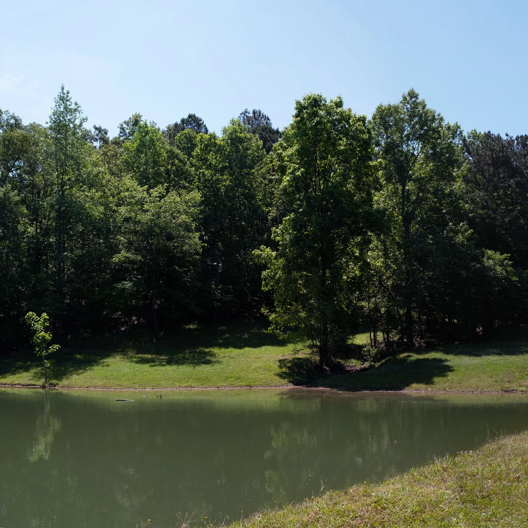 paceroad-spa-image-03.jpg