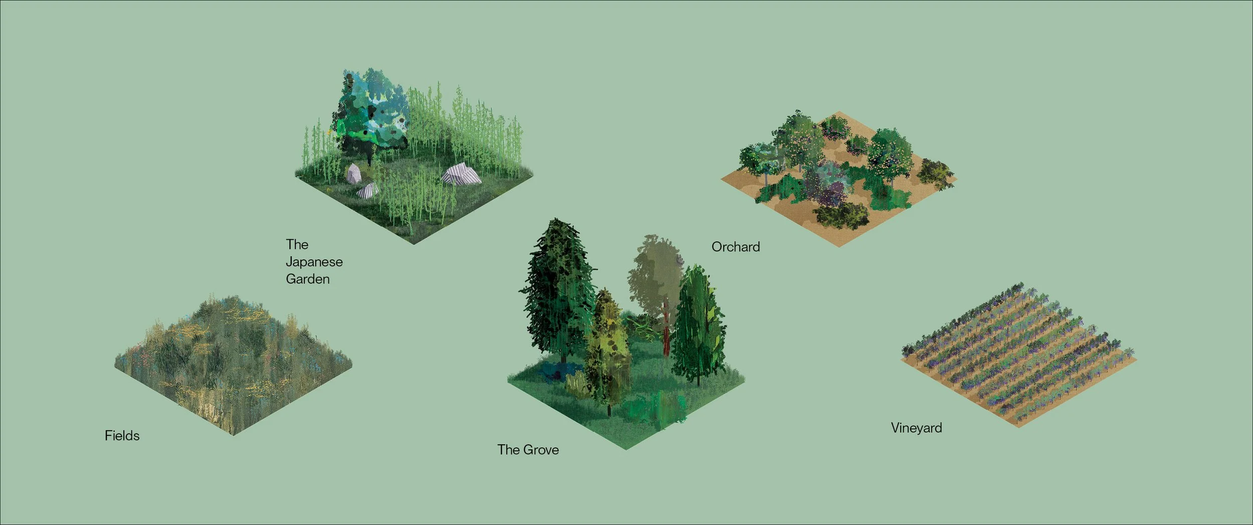carmel-winery-diagram-03.jpg