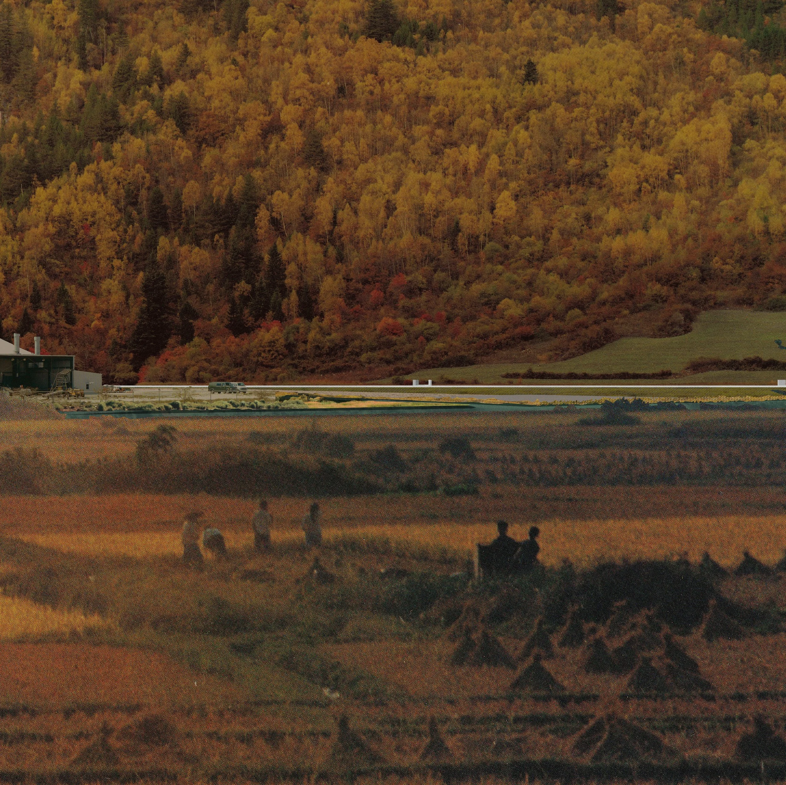 IMAGE01-01.jpg