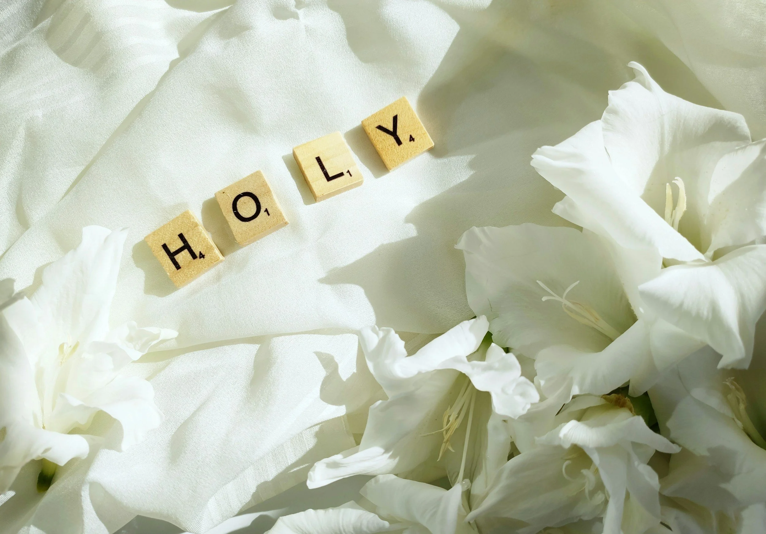 Holiness and Humility