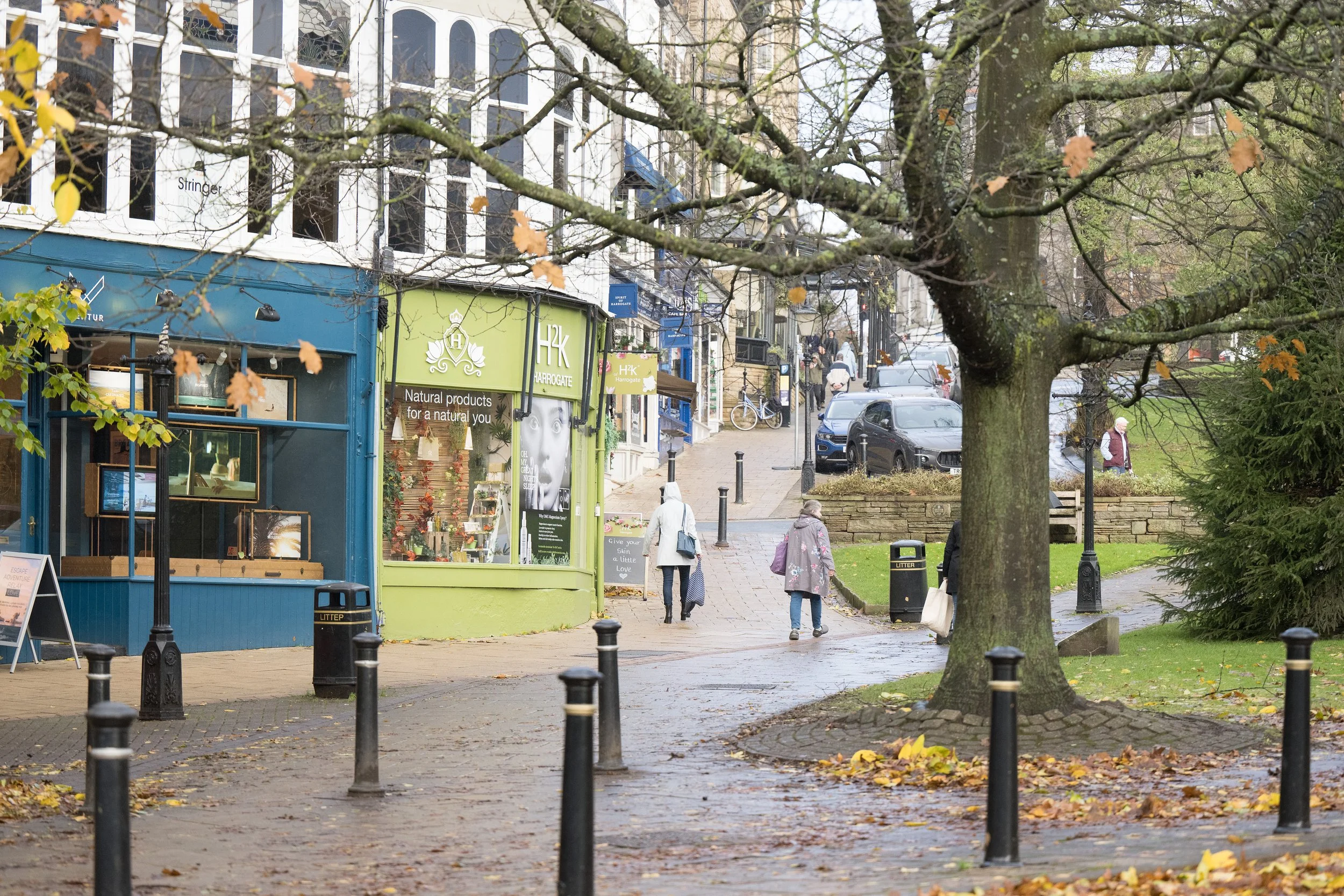 A street view with storefronts, pedestrians walking on the sidewalk, a large tree with fall leaves, and a park area with a trash can and lampposts.