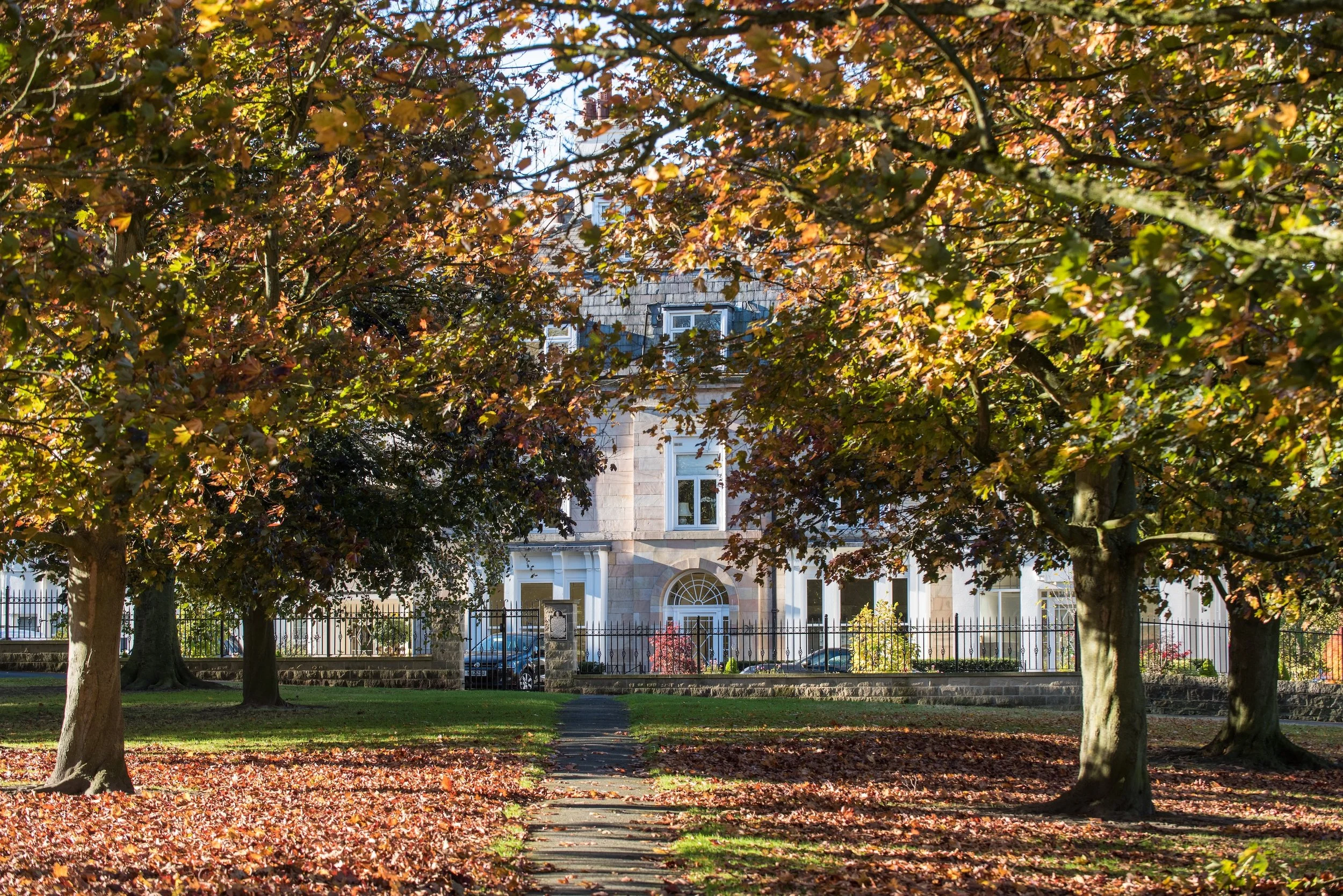 A residential house partly obscured by large trees with autumn leaves, a sidewalk, and a small front yard with fallen leaves.