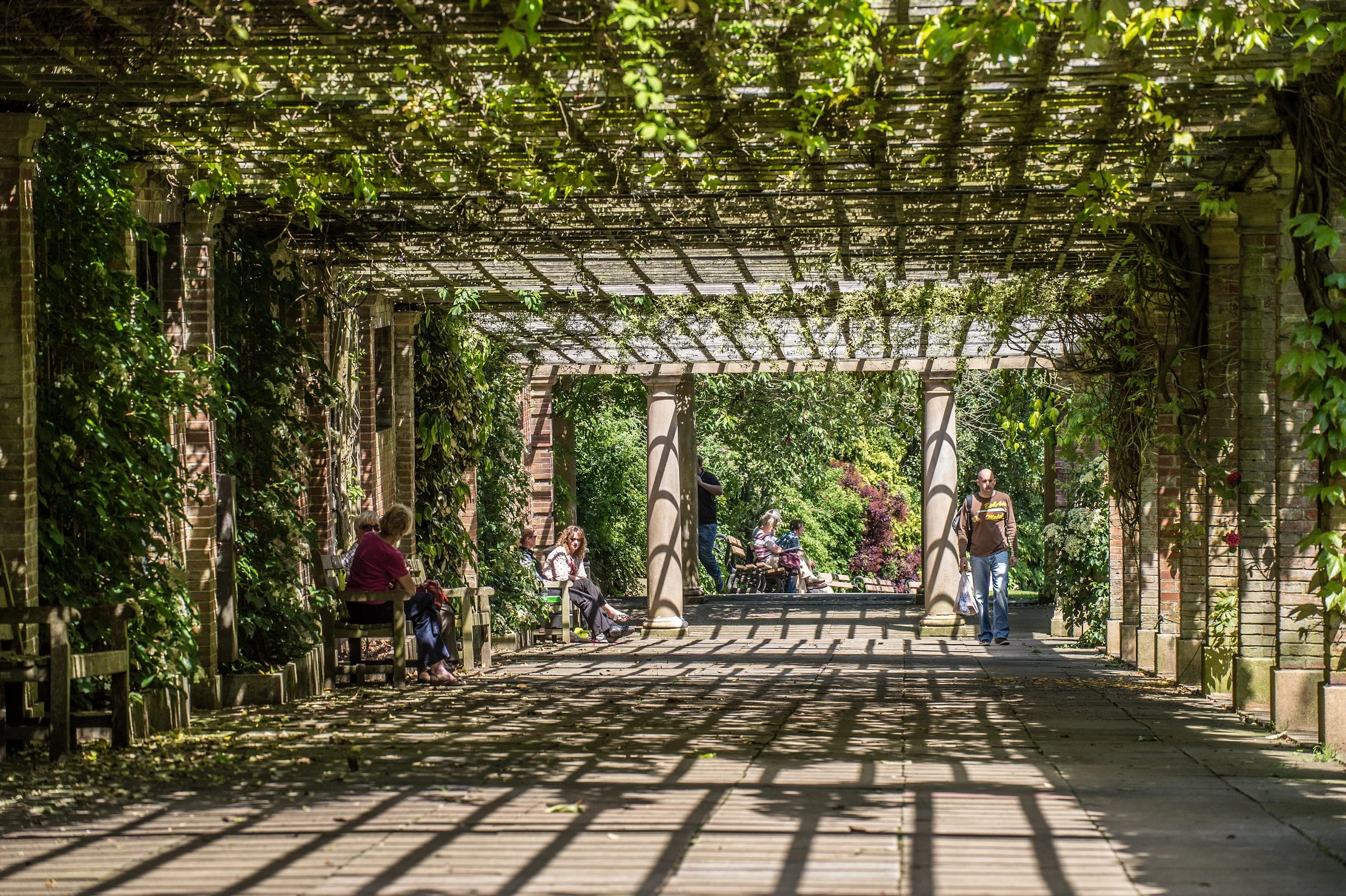 People sitting on benches and walking in a shaded, outdoor garden area with a pergola covered in green vines and plants.