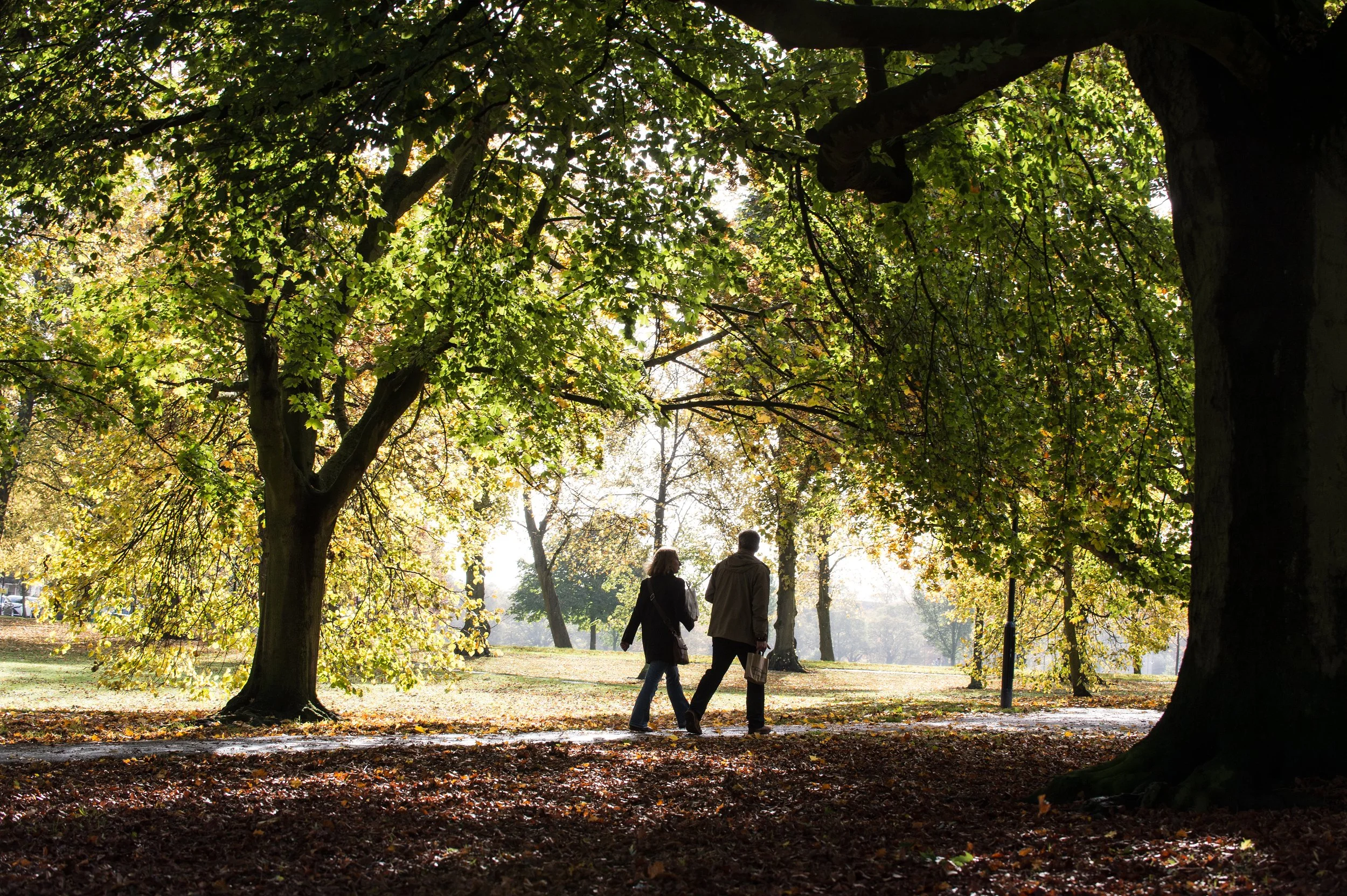 Two people walking in a park on a fall day, with trees and sunlight filtering through the leaves.