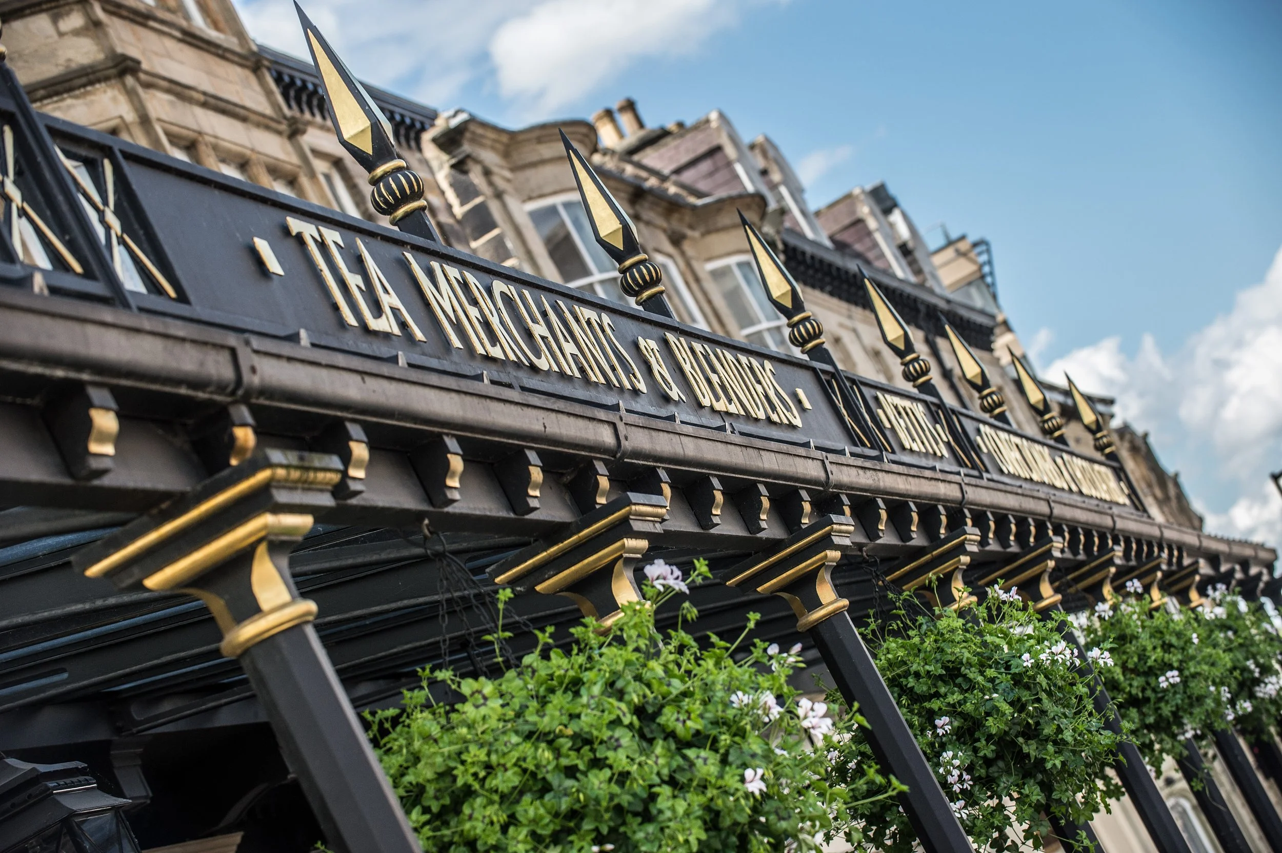 Close-up of an ornate black metal gate with gold accents and the words 'The Michigans & Bielsies' engraved, with residential buildings and a blue sky in the background.