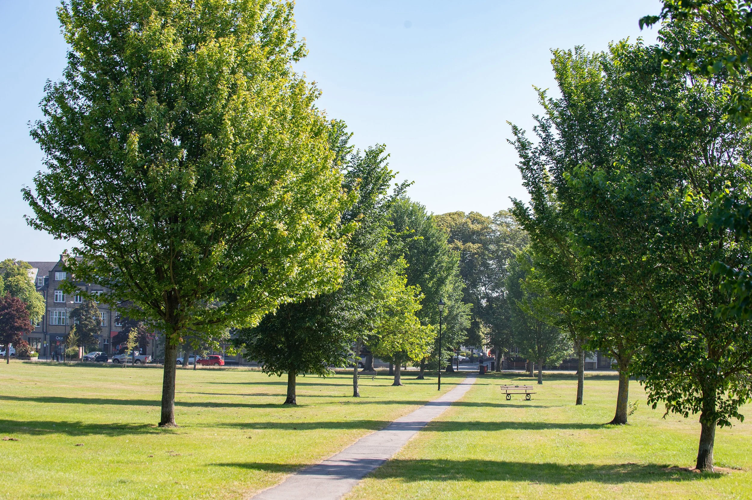 A park with green grass, several trees lining the sidewalk, and a paved pathway. In the background, there are residential buildings and street lamps, with a clear blue sky overhead.