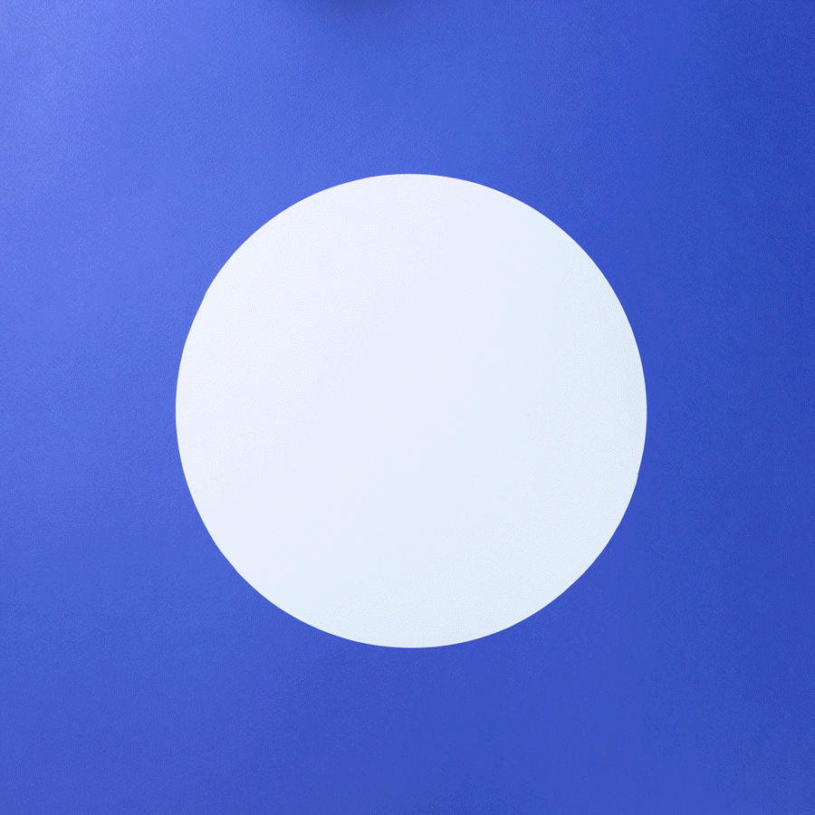 PBJOLY_PBJIllustration_MerylVideo_v02.gif