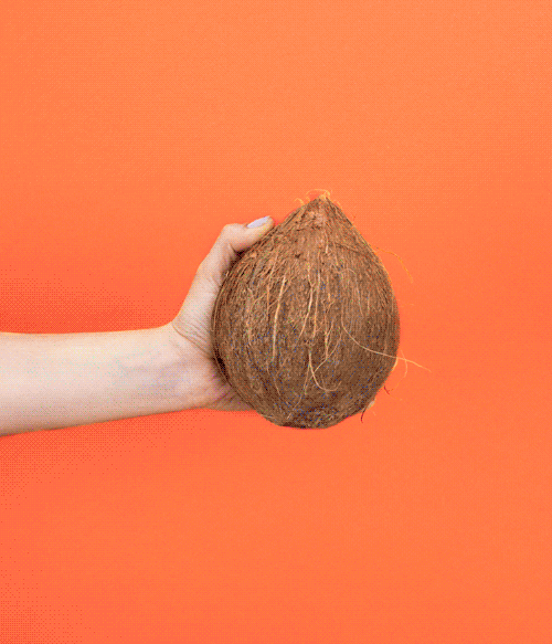StIves_Paid_Coconut_v7.gif