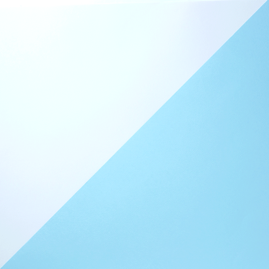 PBJOLY_PBJIllustration_EvanlVideo_v02.gif