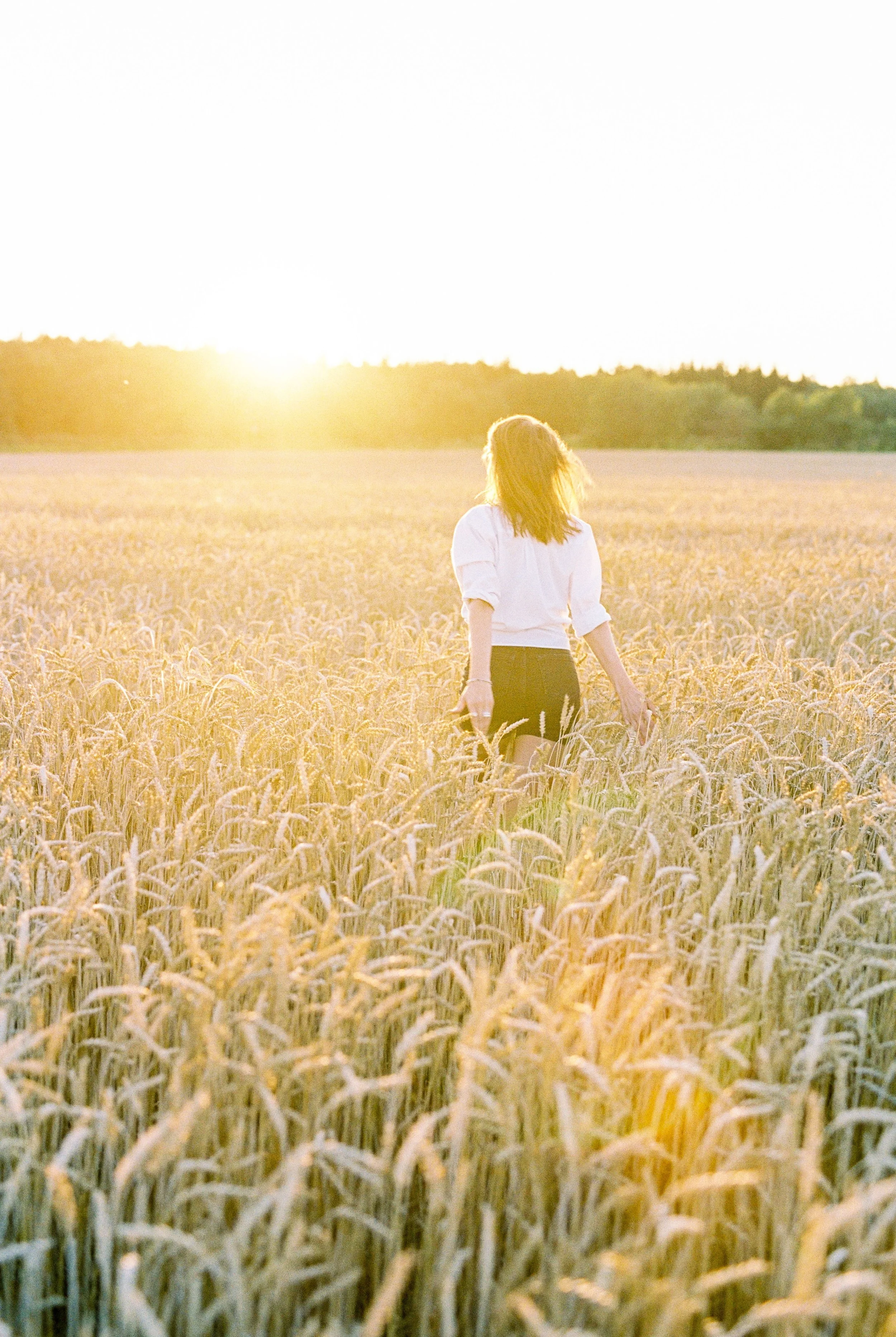 A person walking through a wheat field during sunset