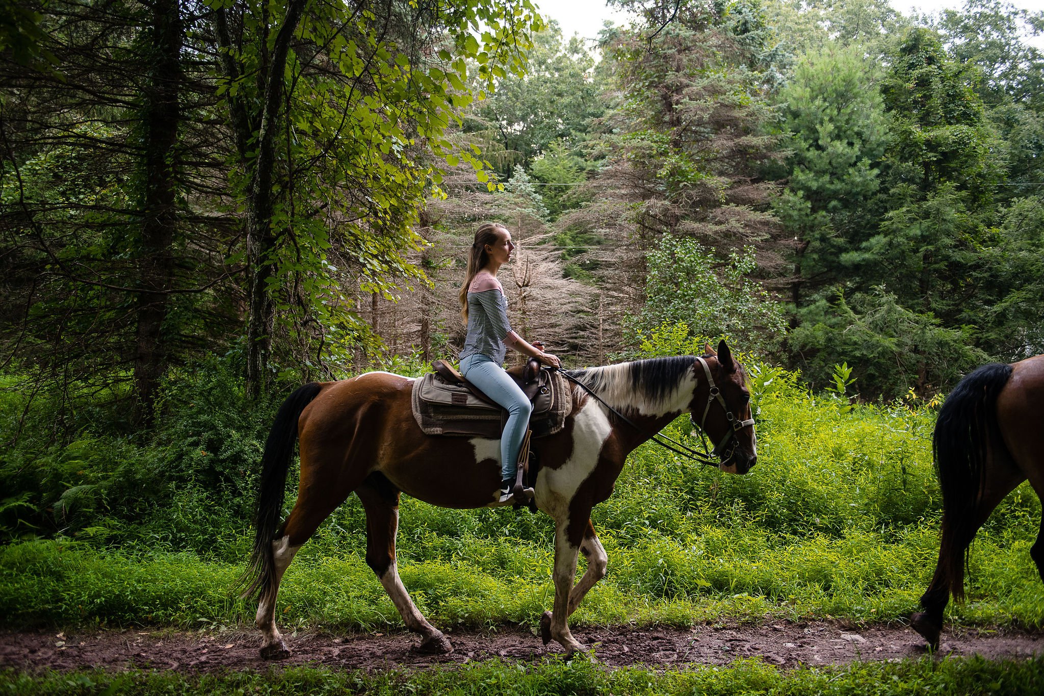 Woman-on-Horseback-Trail-Ride-in-Green-Woods-3297434997.jpg