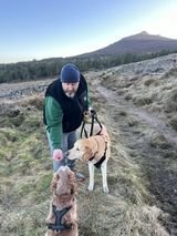 Dogs for adoption Spain, now adopted in the UK